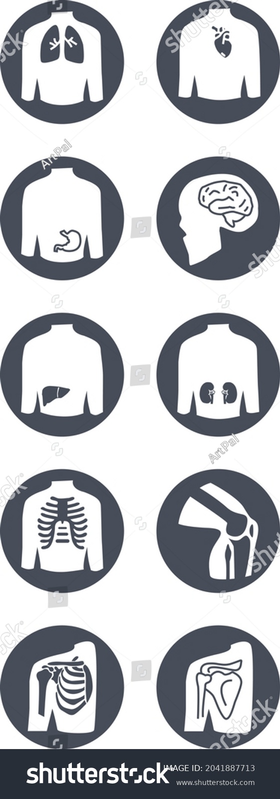 SVG of Human organs vector icons pack, anatomy svg icons  svg