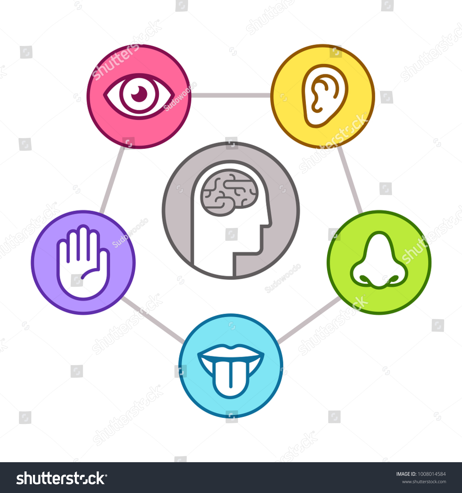 14,529 Senses brain Images, Stock Photos & Vectors | Shutterstock