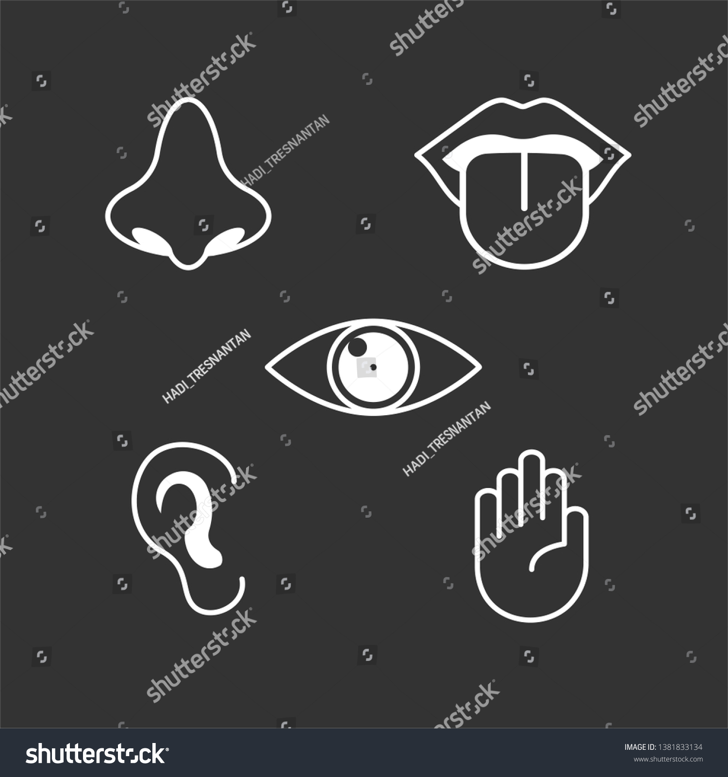 Human Senses Icon Types Perception Vector Stock Vector (Royalty Free ...