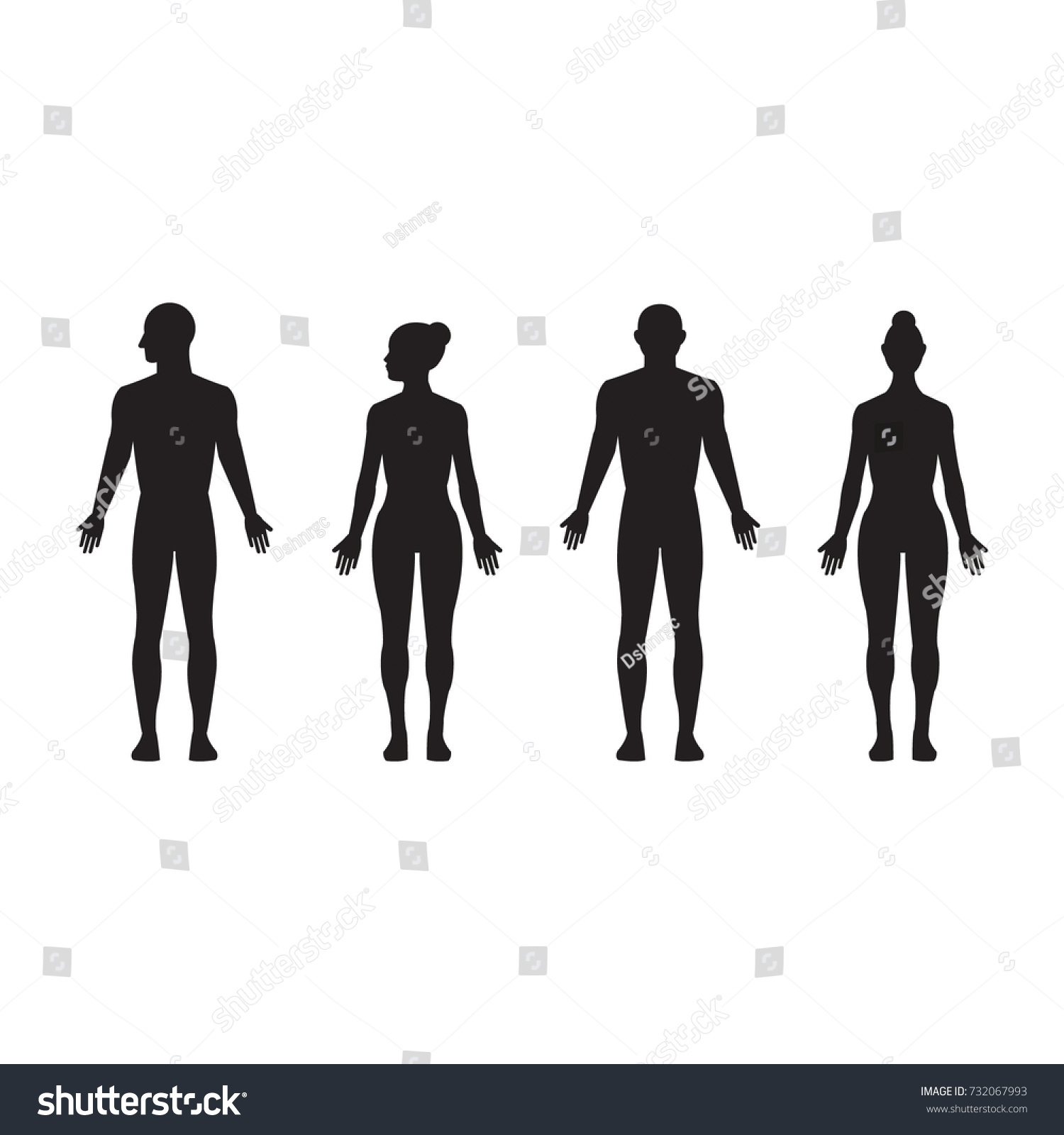 Human Silhouette Male Female Man Woman Stock Vector (royalty Free 