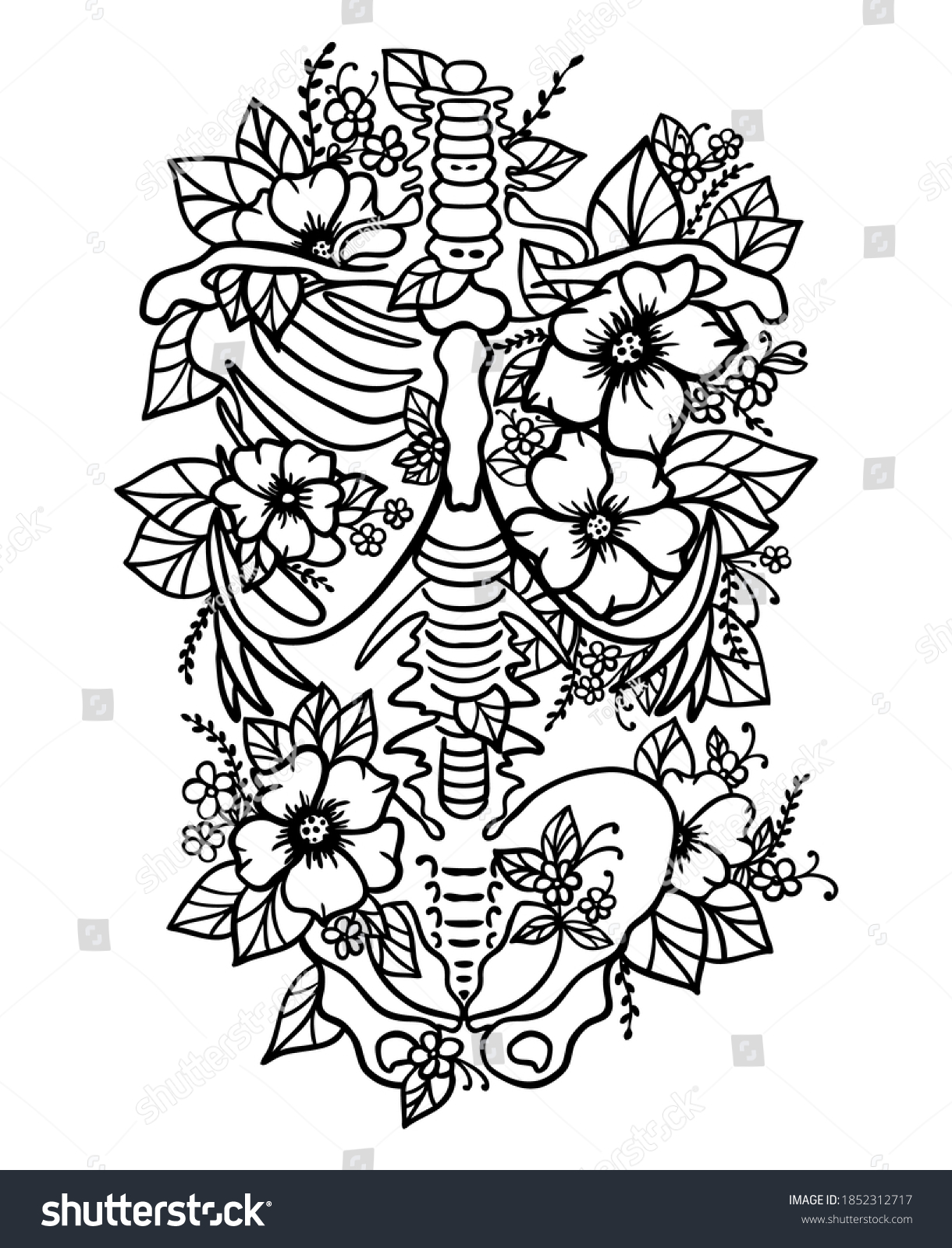 SVG of Human skeleton floral ribs pelvis bones torso svg human anatomy flower anatomy print nursing school anatomical silhouette svg