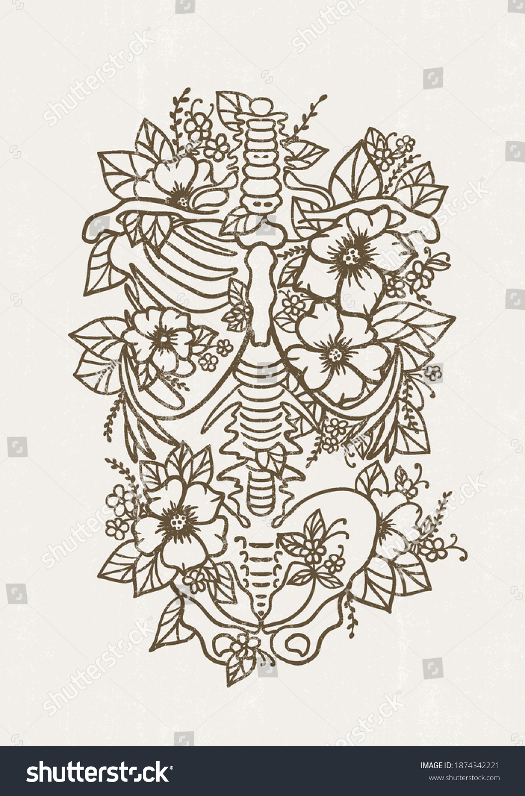 SVG of Human skeleton floral ribs pelvis bones torso svg human anatomy flower print nursing school anatomical poster silhouette svg