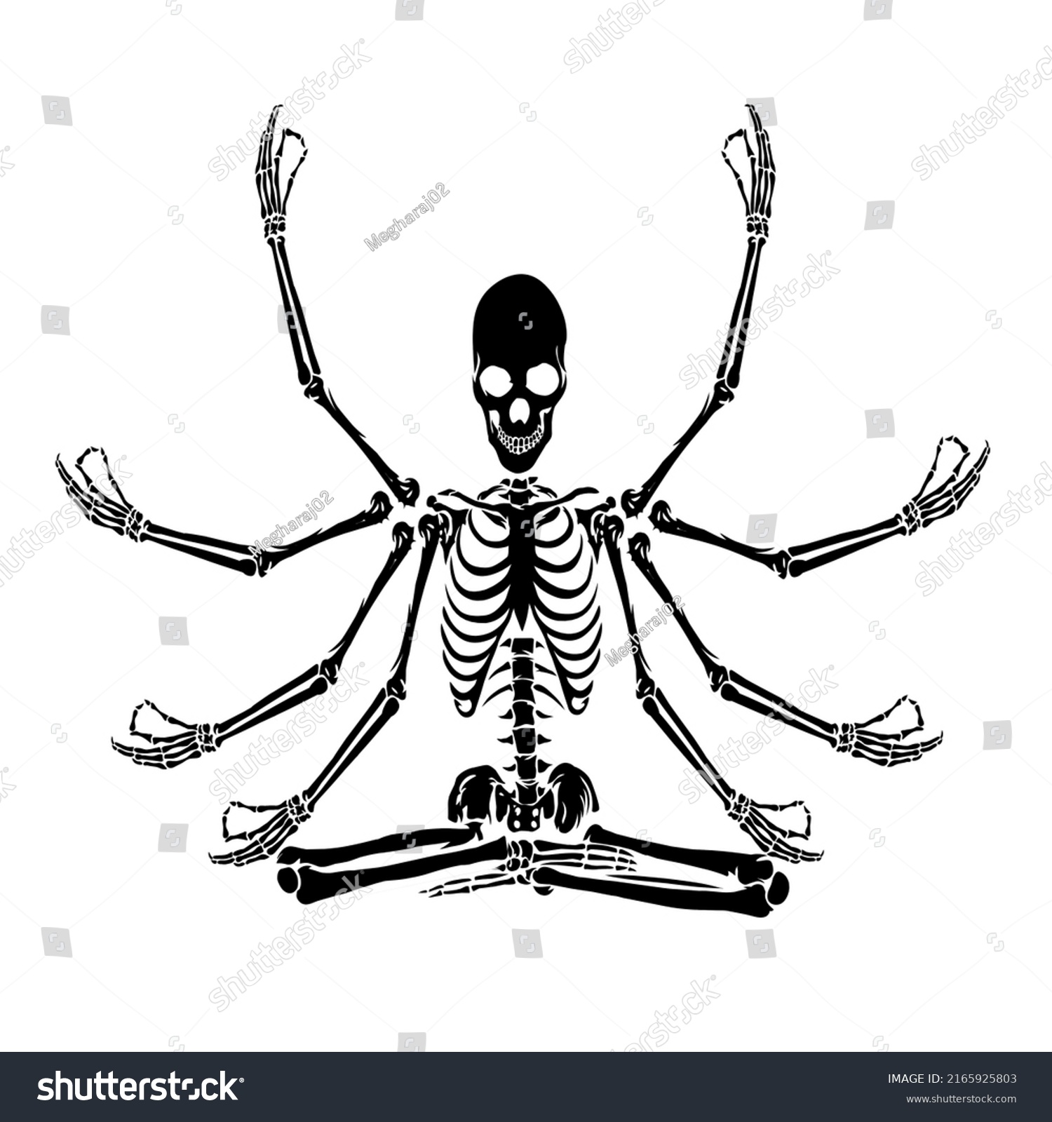 Human Skeleton Yoga Position Meditating Skeleton Stock Vector Royalty Free 2165925803 9663