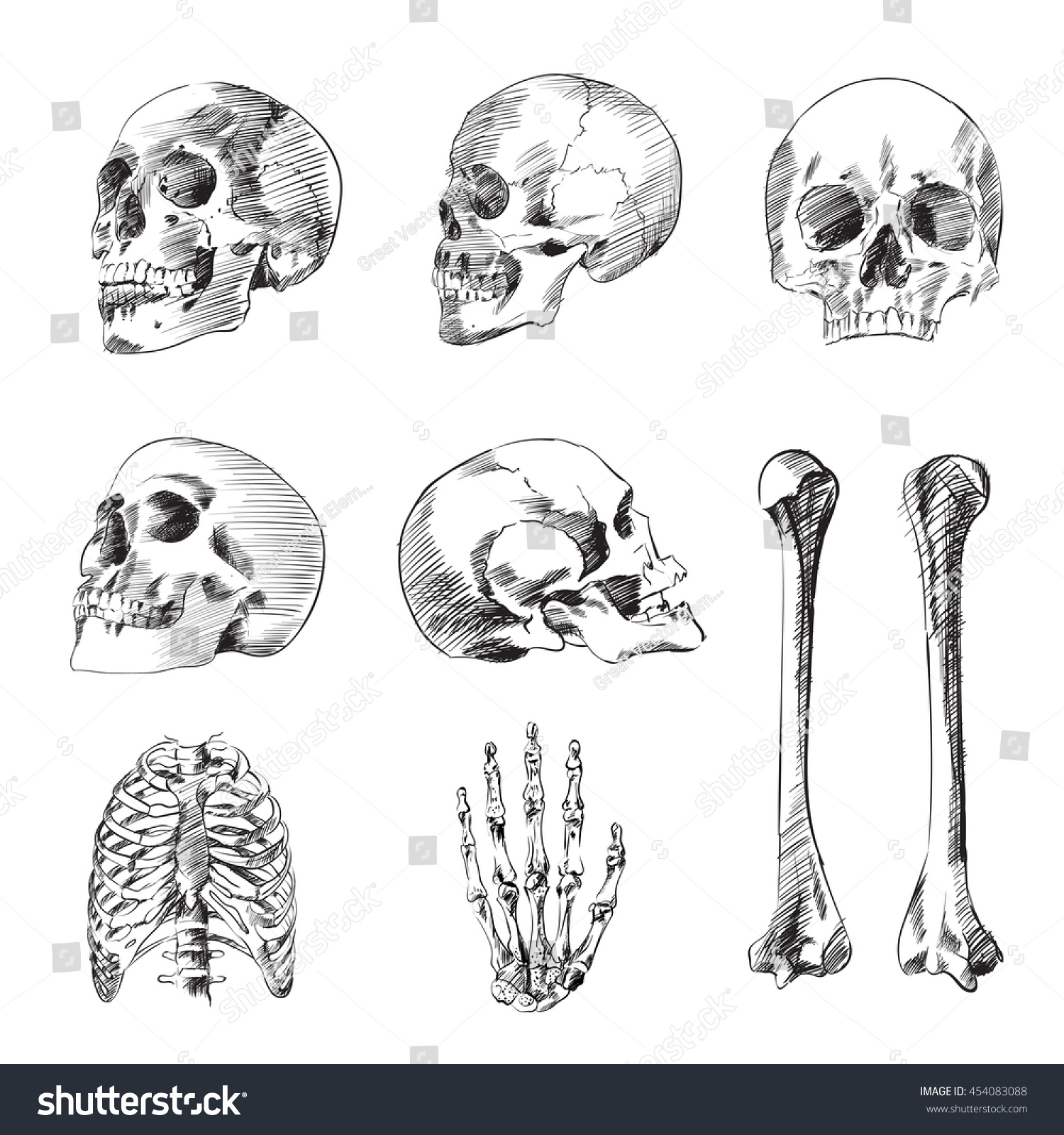 Human Skeleton Sketch Hand Drawing Illustration Vector Set, Skull, Bone ...