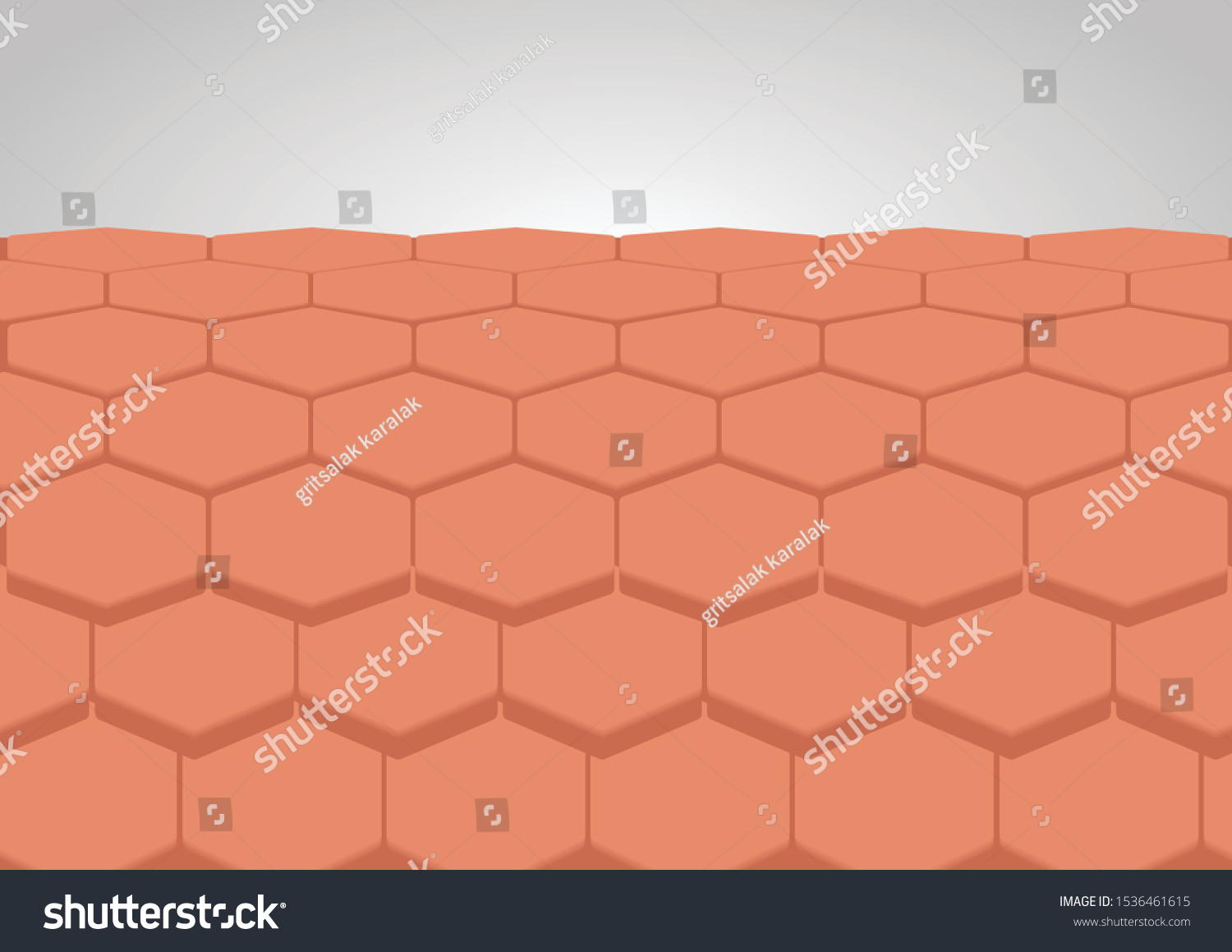 Human Skin Layer Vector Cell Stock Vector Royalty Free 1536461615 Shutterstock