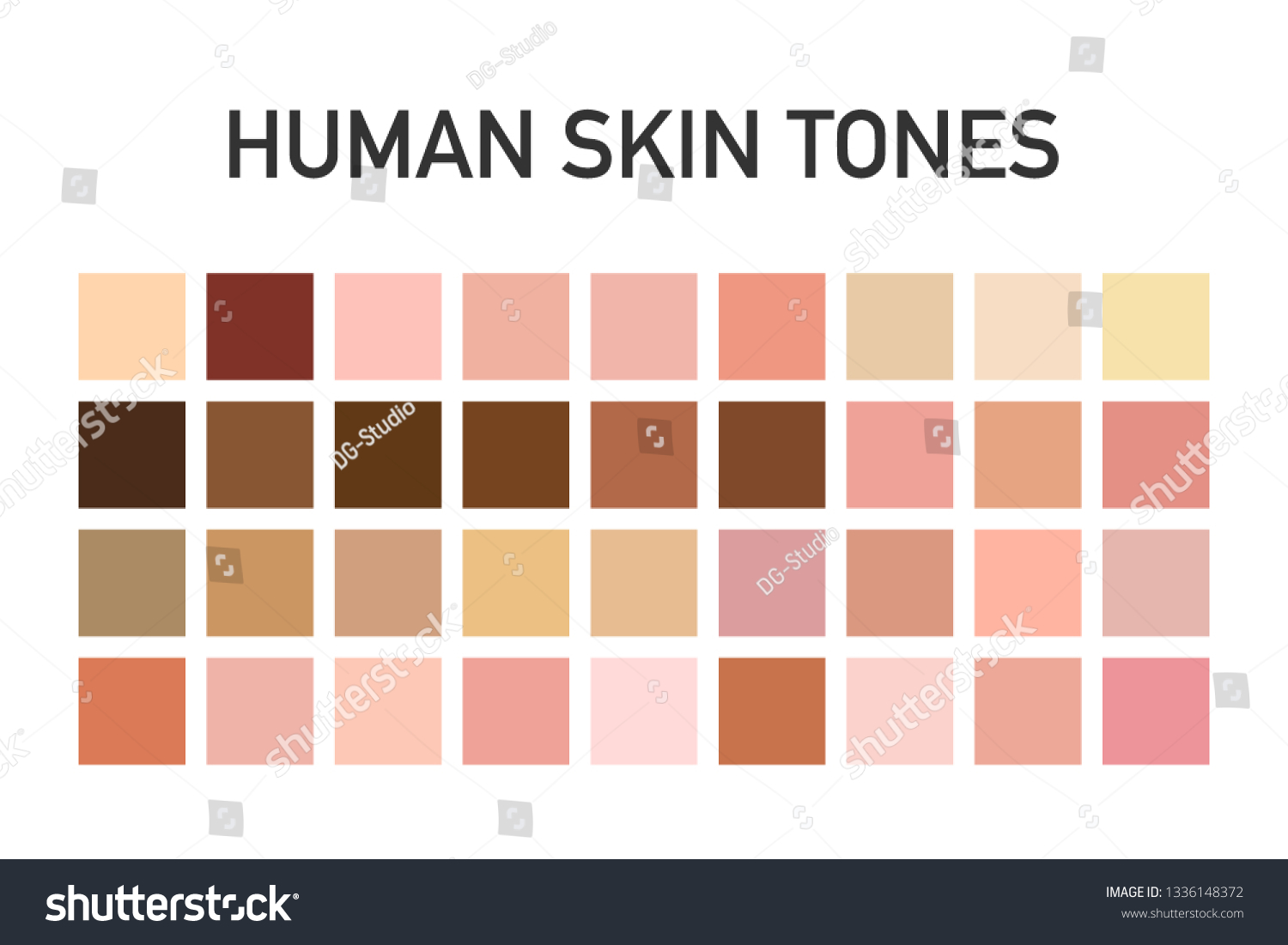 Human Skin Tone Color Palette Set Stock Vector (Royalty Free) 1336148372