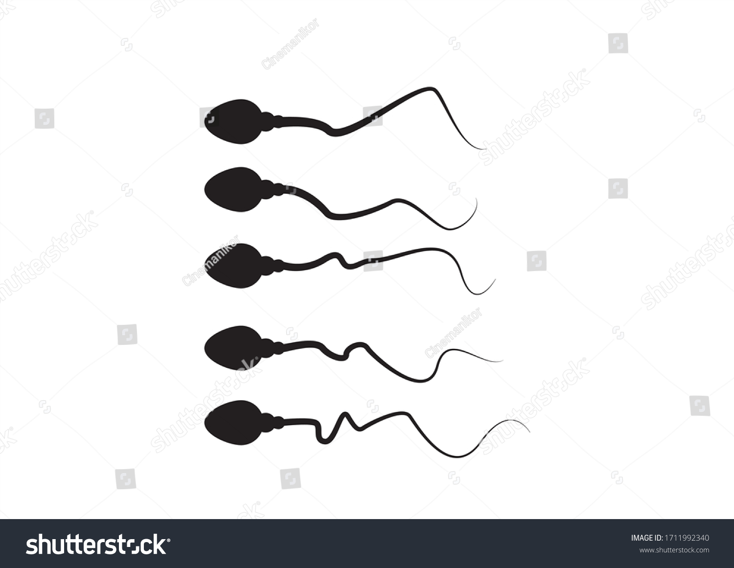 Human Sperm Running Towards Female Egg Stock Vector Royalty Free