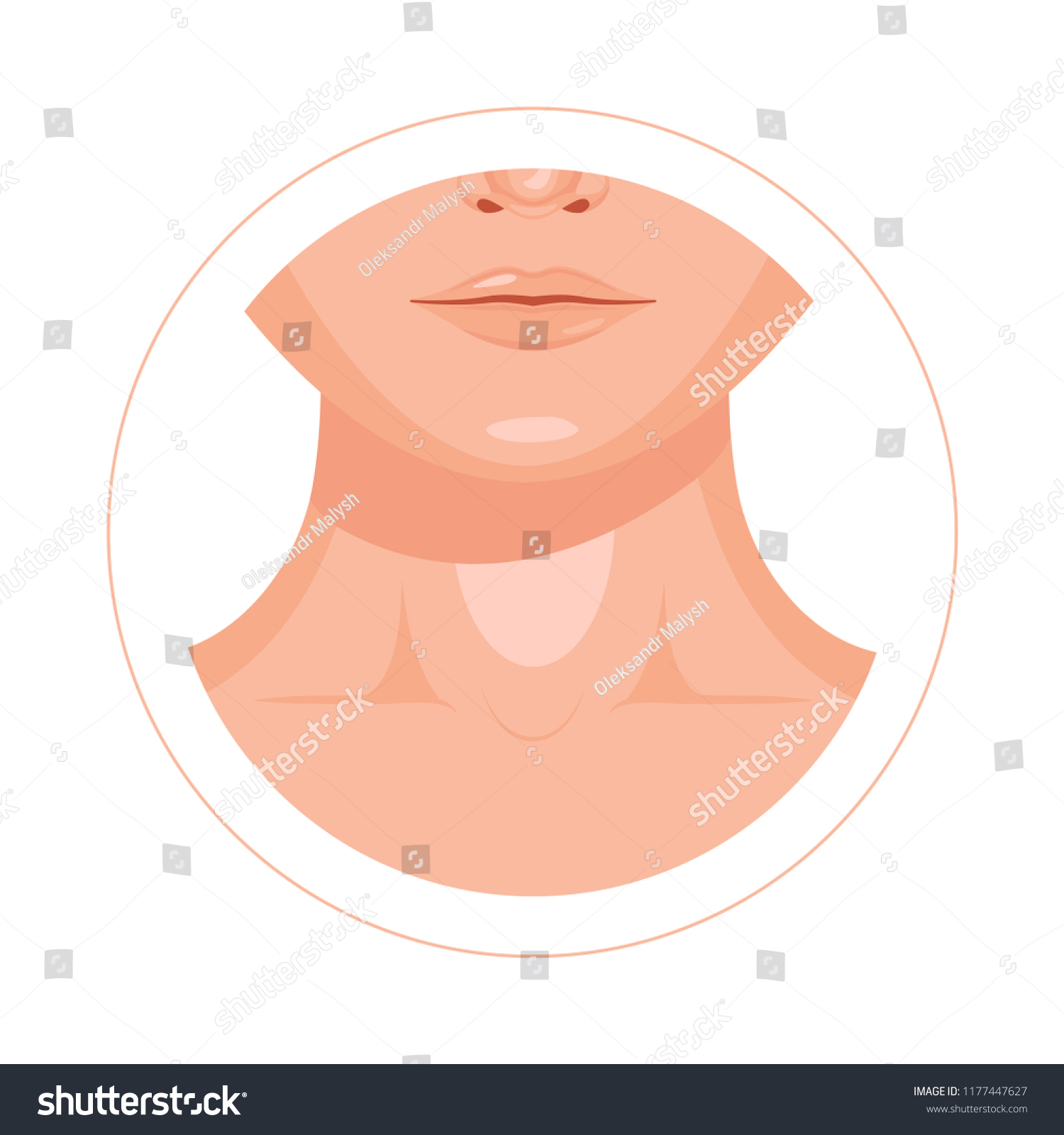 Human Throat Clavicle Lips Nose Design Stock Vector (royalty Free 