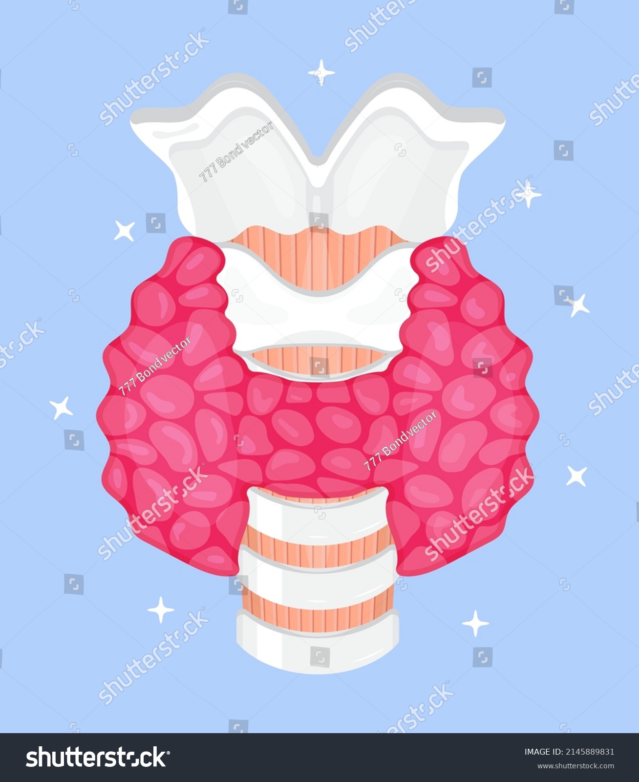 Human Thyroid Gland Vector Hypothyroidism Concept Stock Vector Royalty