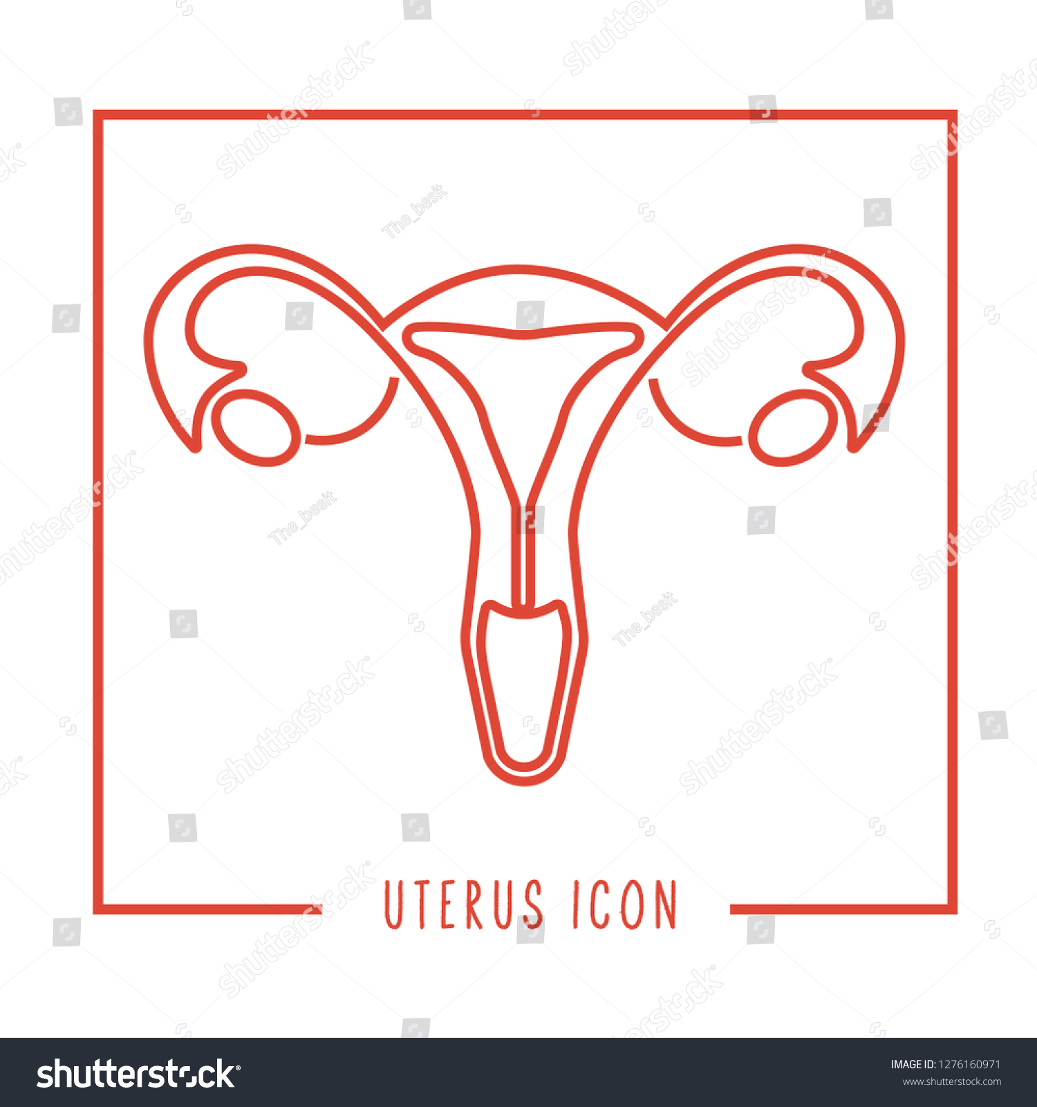 Human Uterus Female Reproductive Sex Organ Vector De Stock Libre De Regalías 1276160971