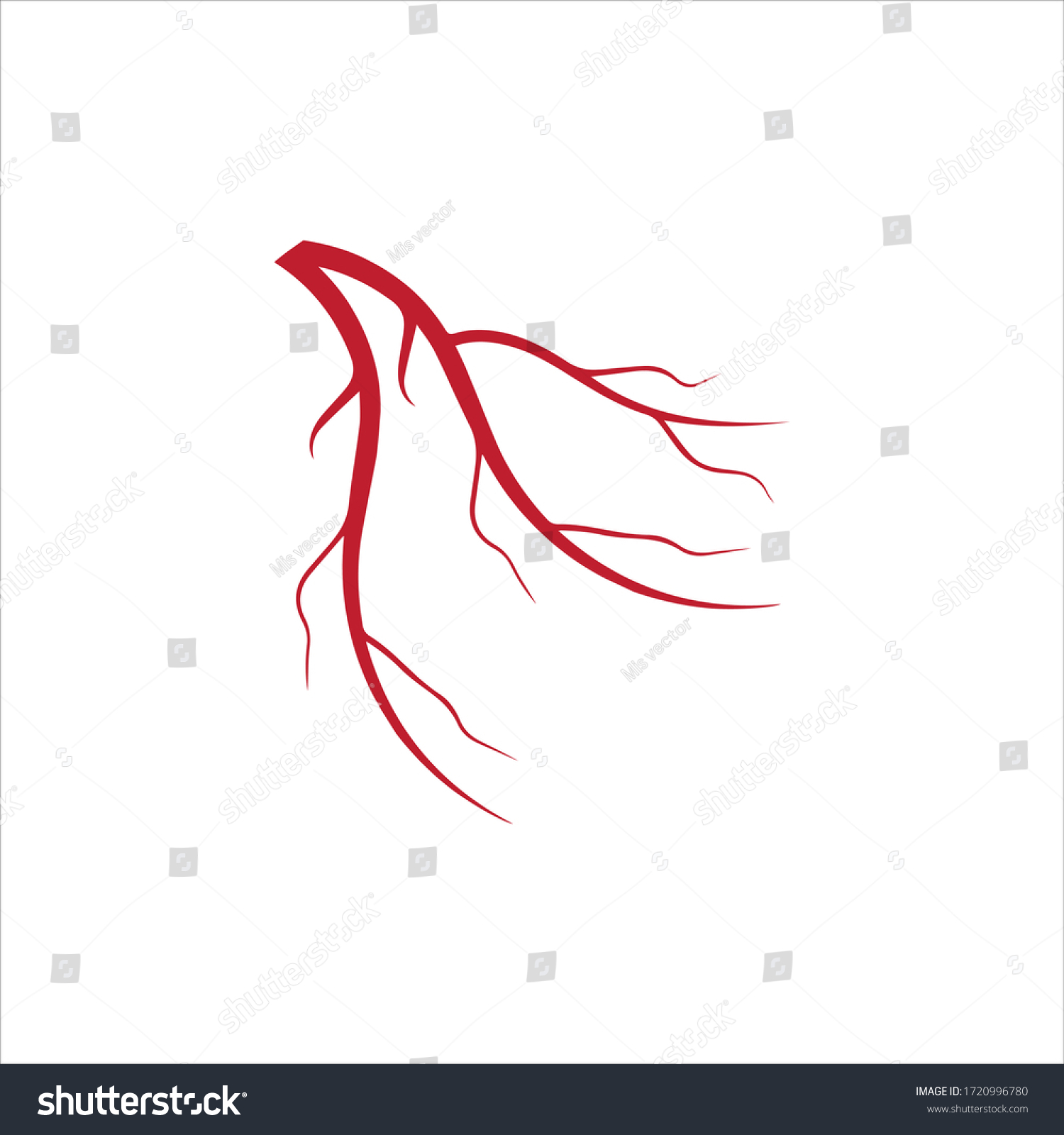 Vektor Stok Human Veins Red Blood Vessels Design Tanpa Royalti