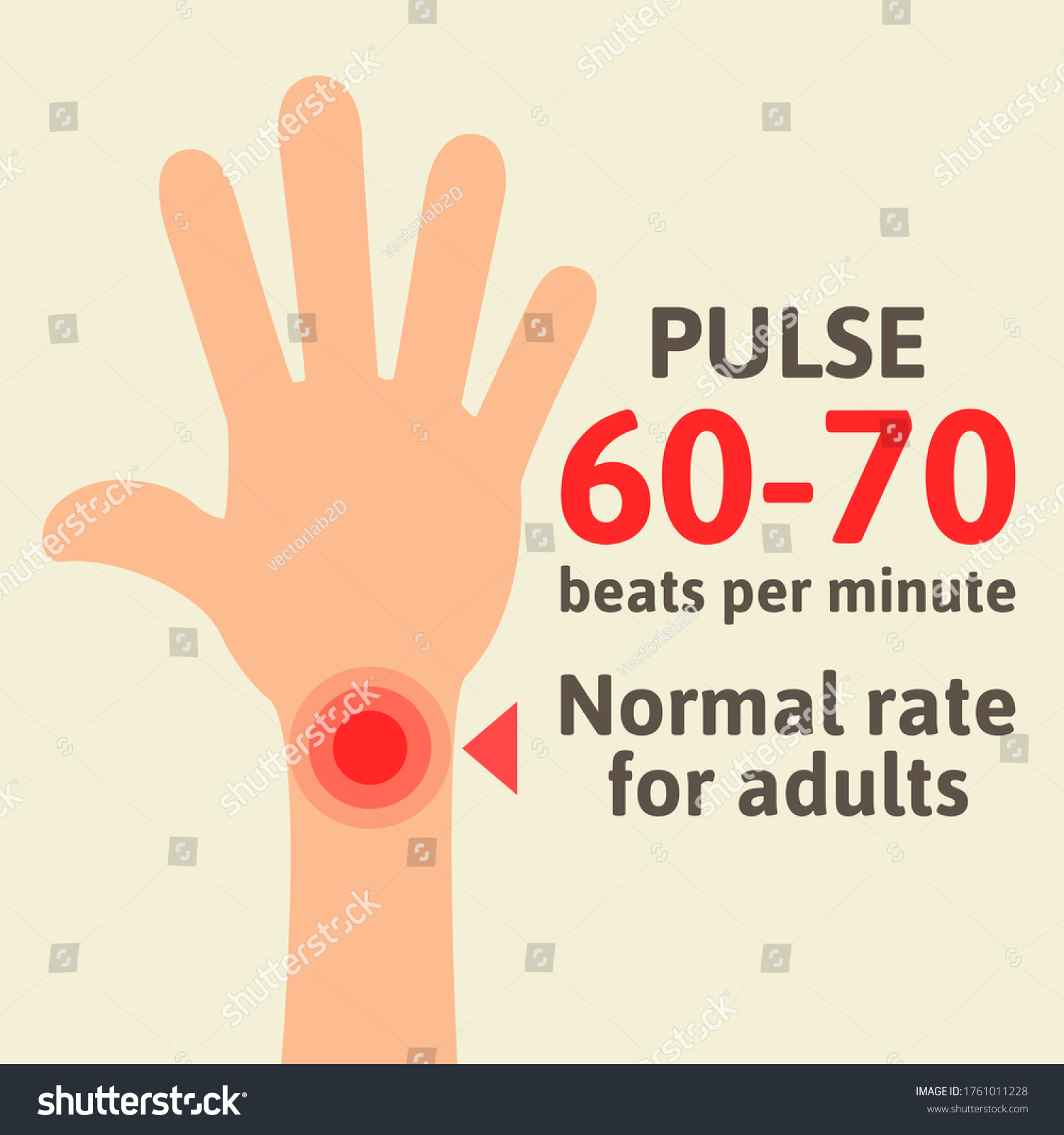 For adults pulse rate normal Normal Heart
