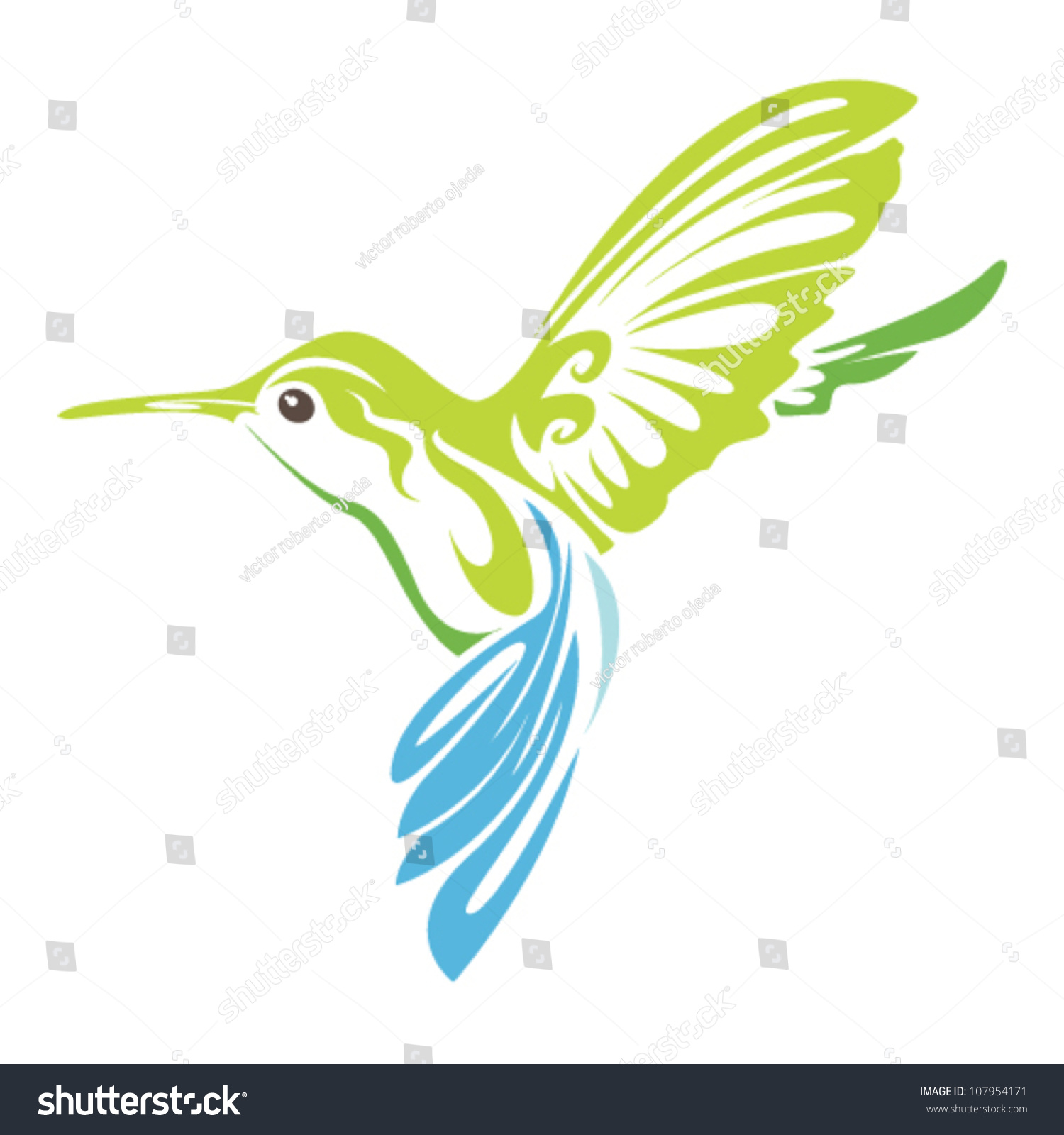 Hummingbird Stock Vector Illustration 107954171 : Shutterstock