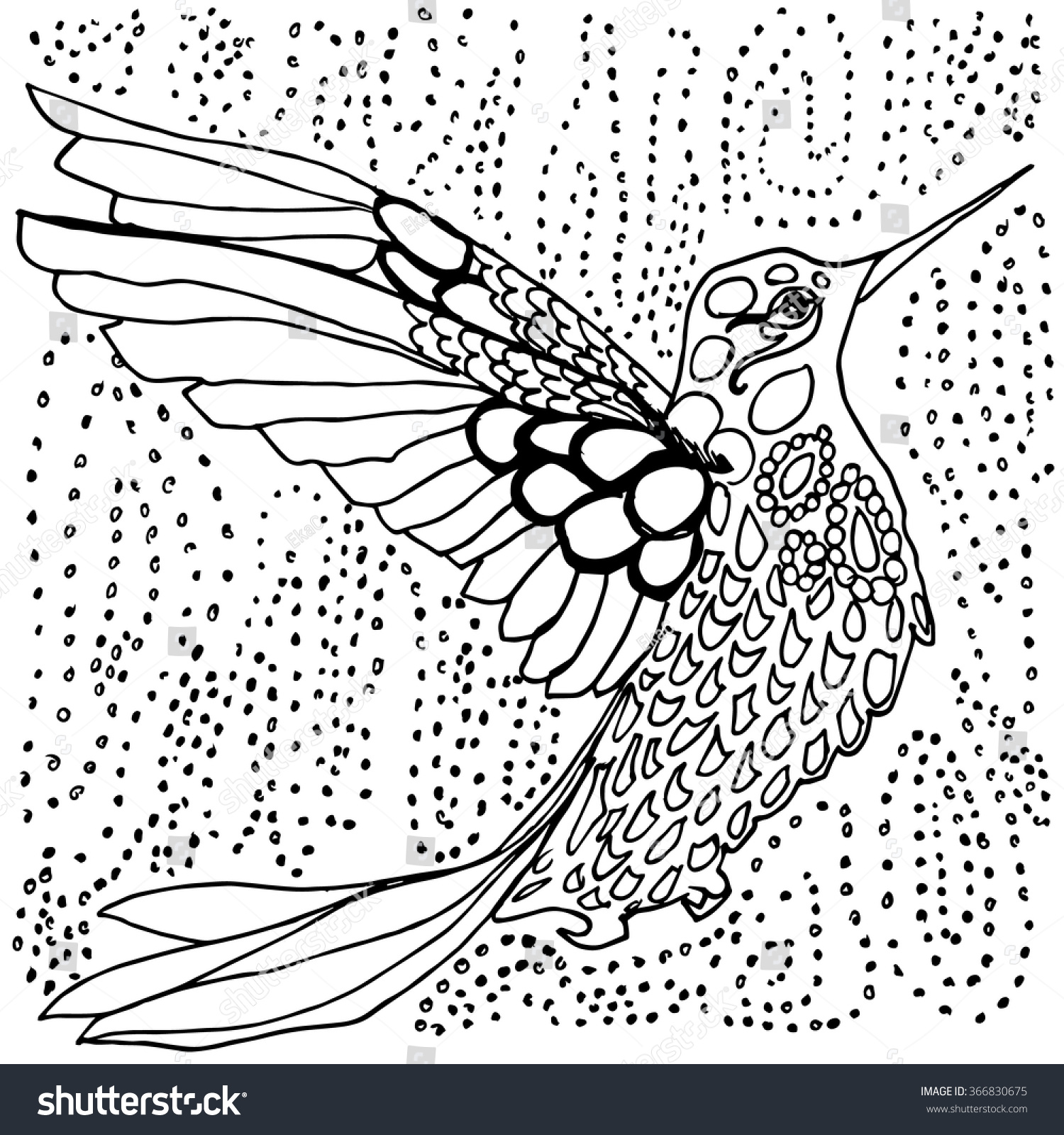 Hummingbird coloring page black and white drawing outlines in pen and ink hand drawn tiny