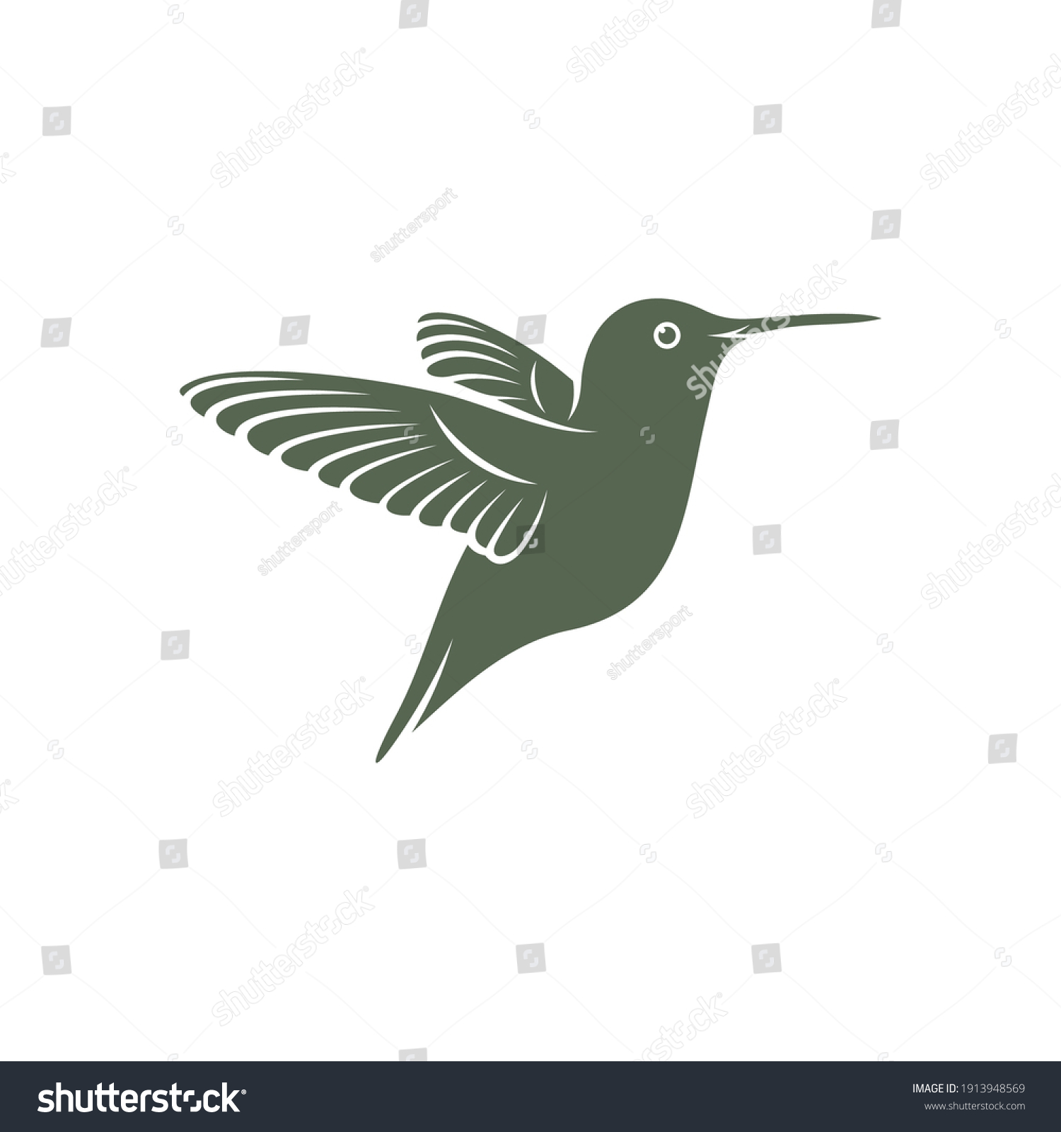 Hummingbird Design Vector Illustration Creative Hummingbird Stock ...