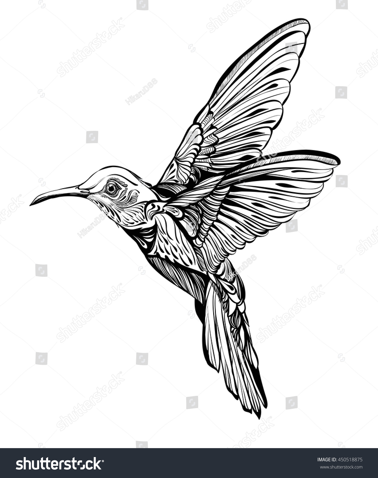 Colibri En Vol Dessin Detaille D Un Oiseau Illustration Image Vectorielle De Stock Libre De Droits