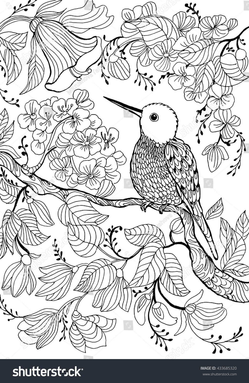 hummingbirds and flowers outline drawing coloring circling line drawing monochrome