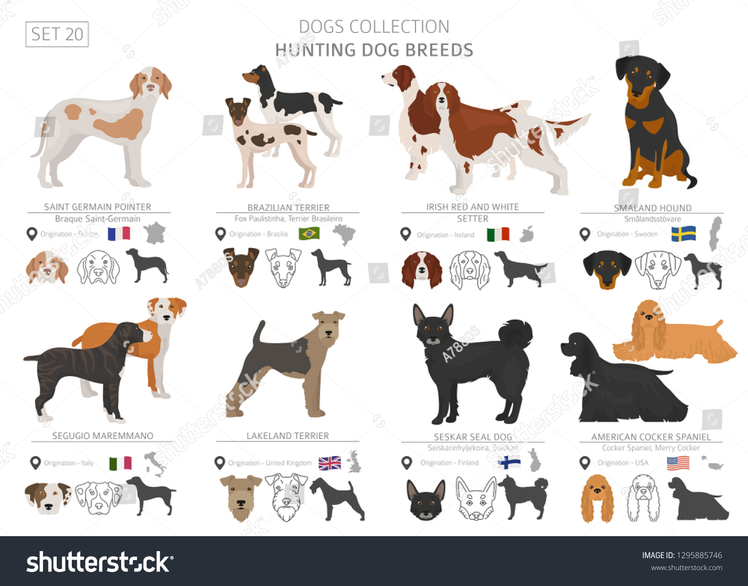 22 Lakeland terrier vector Images, Stock Photos & Vectors | Shutterstock