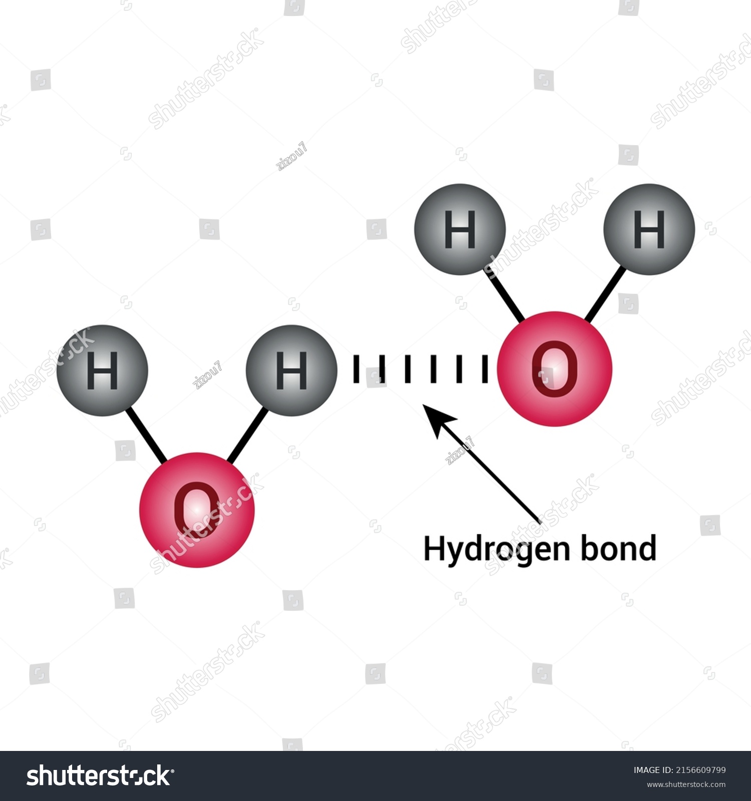 Hydrogen Bond Two Water Molecules Stock Vector (Royalty Free ...