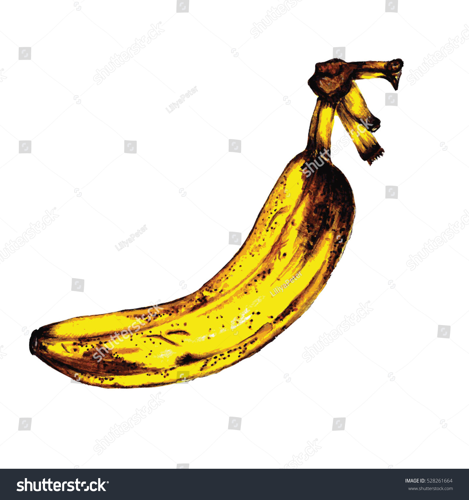 Hyper Realistic Banana Drawing vector de stock (libre de regalías