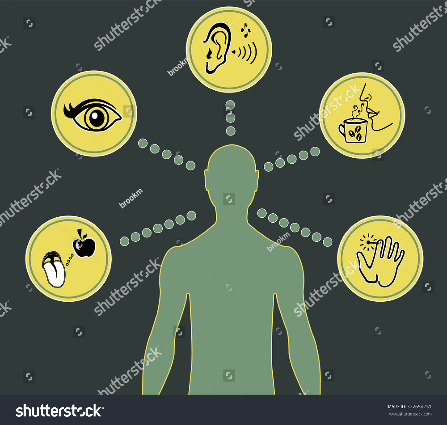 Five Senses Diagram