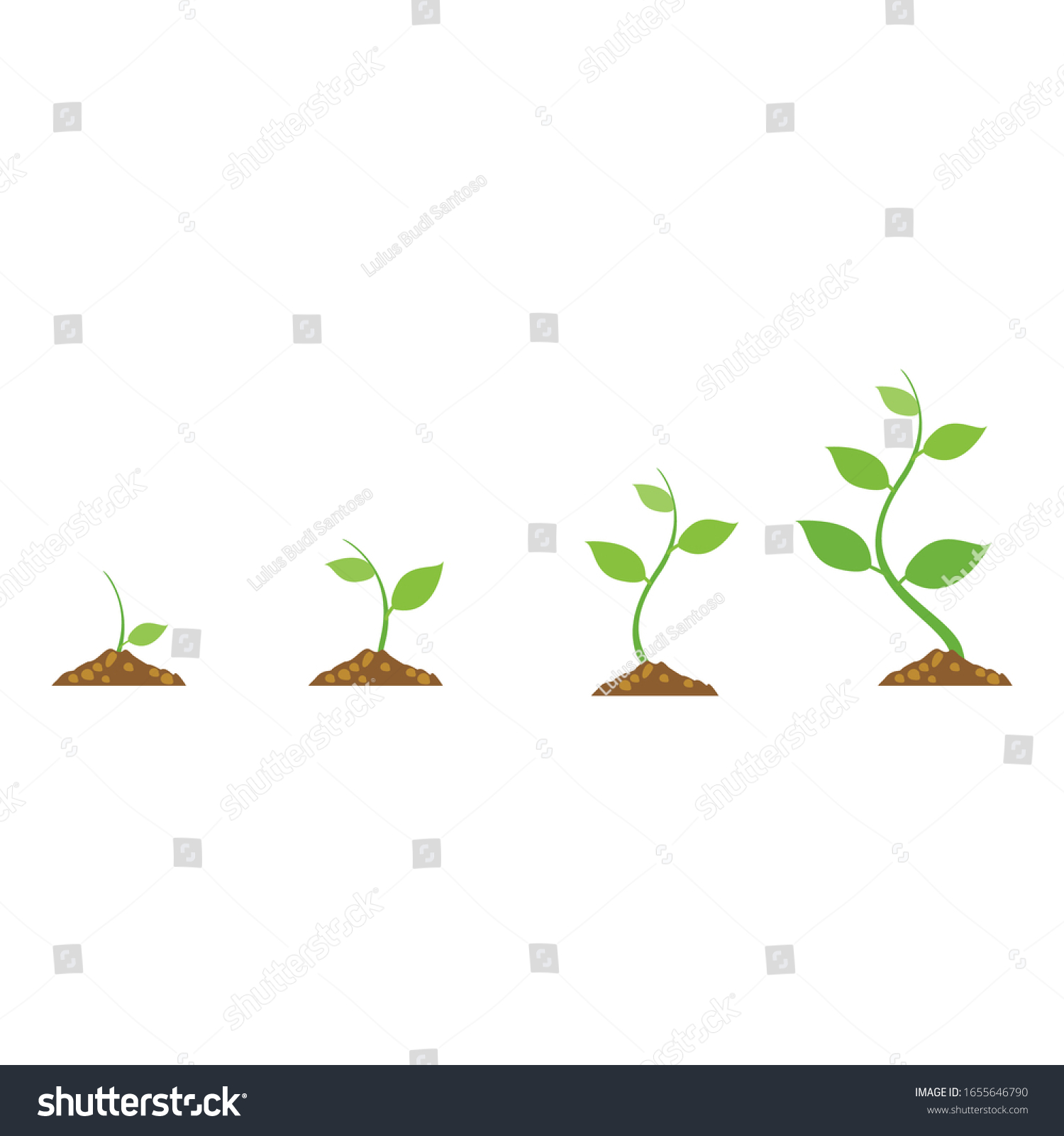 Illustration Diagram Stages Plant Growth Vector 库存矢量图（免版税）1655646790