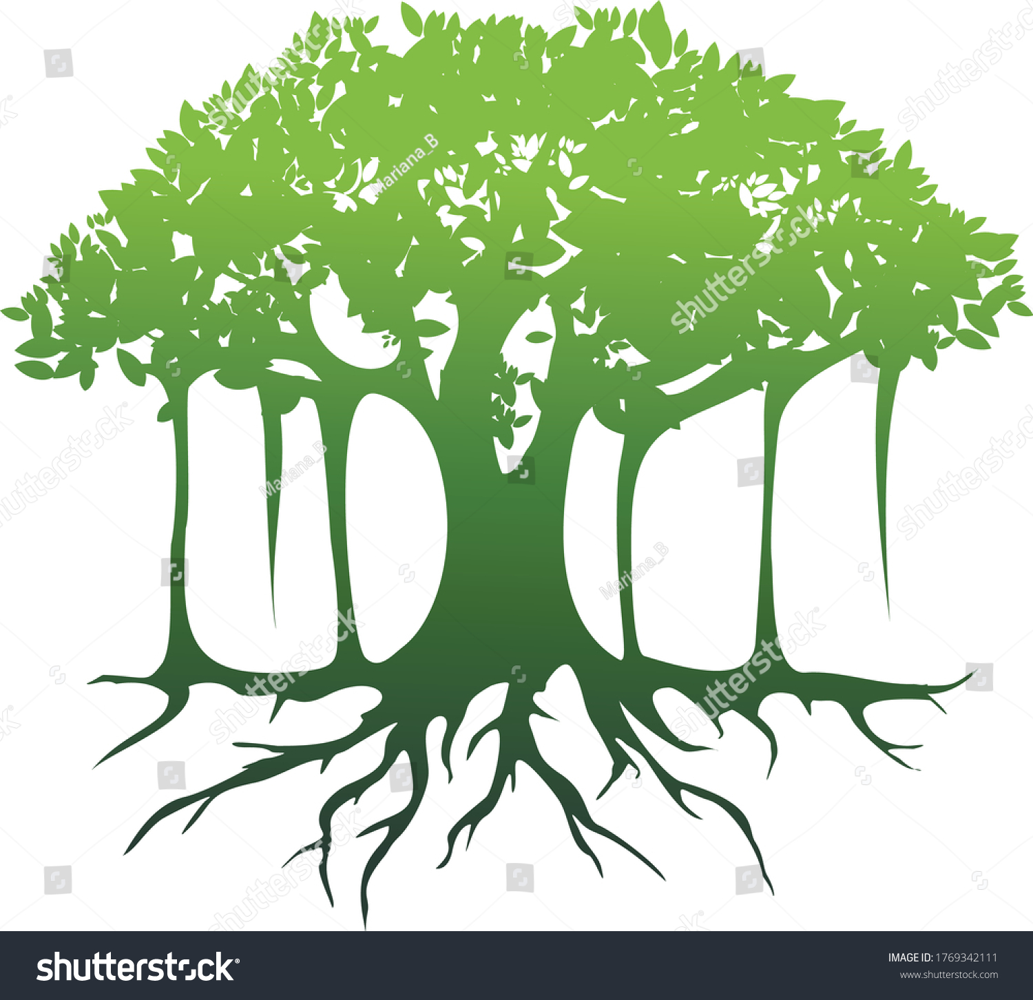 SVG of illustration of a  banyan tree svg