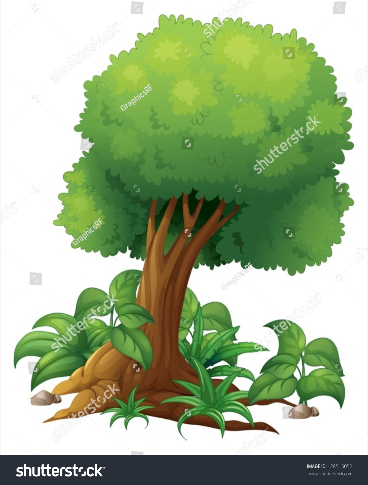 Illustration Big Tree On White Background Stock Vector (Royalty Free