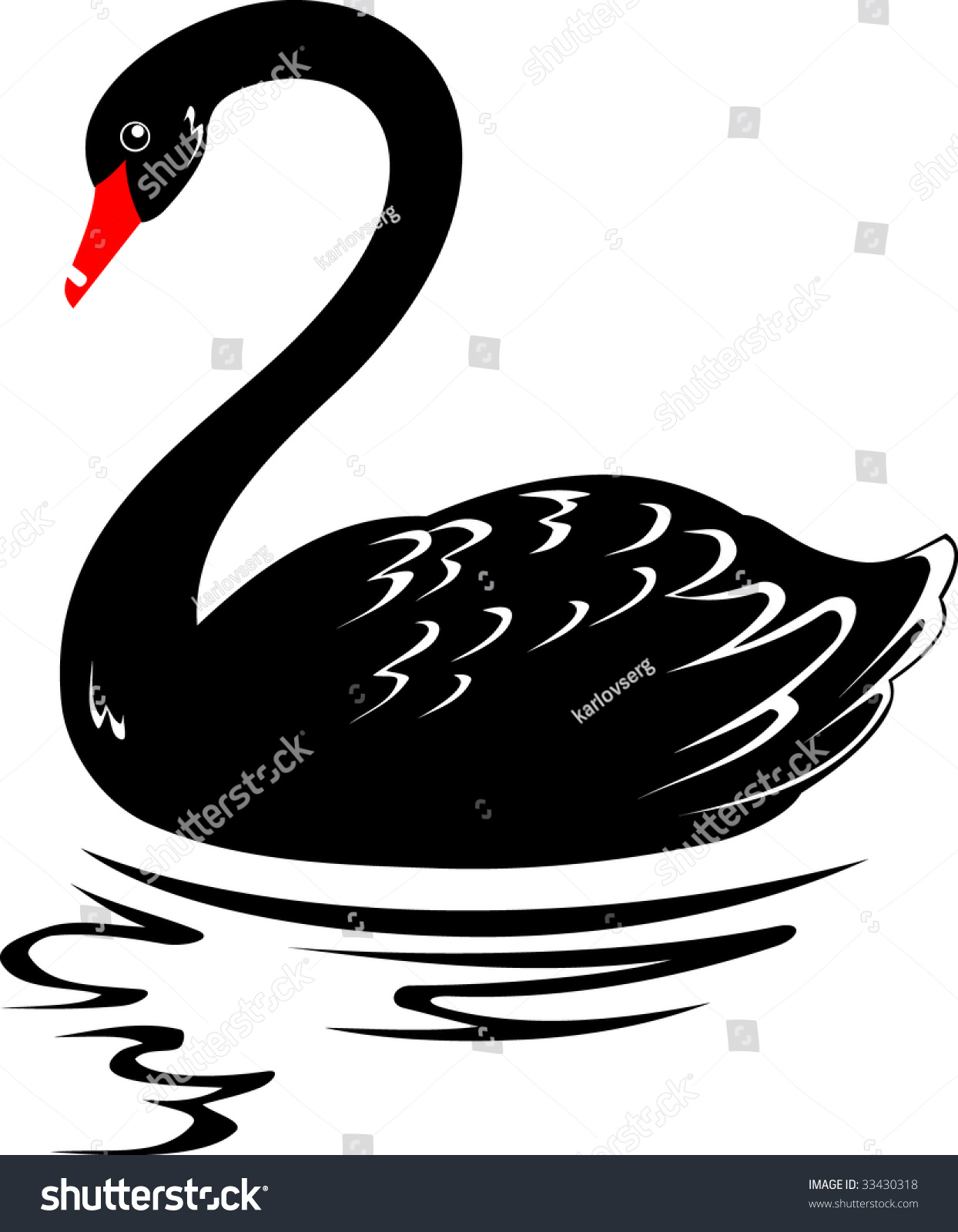 Illustration Black Swan Stock Vector 33430318 Shutterstock