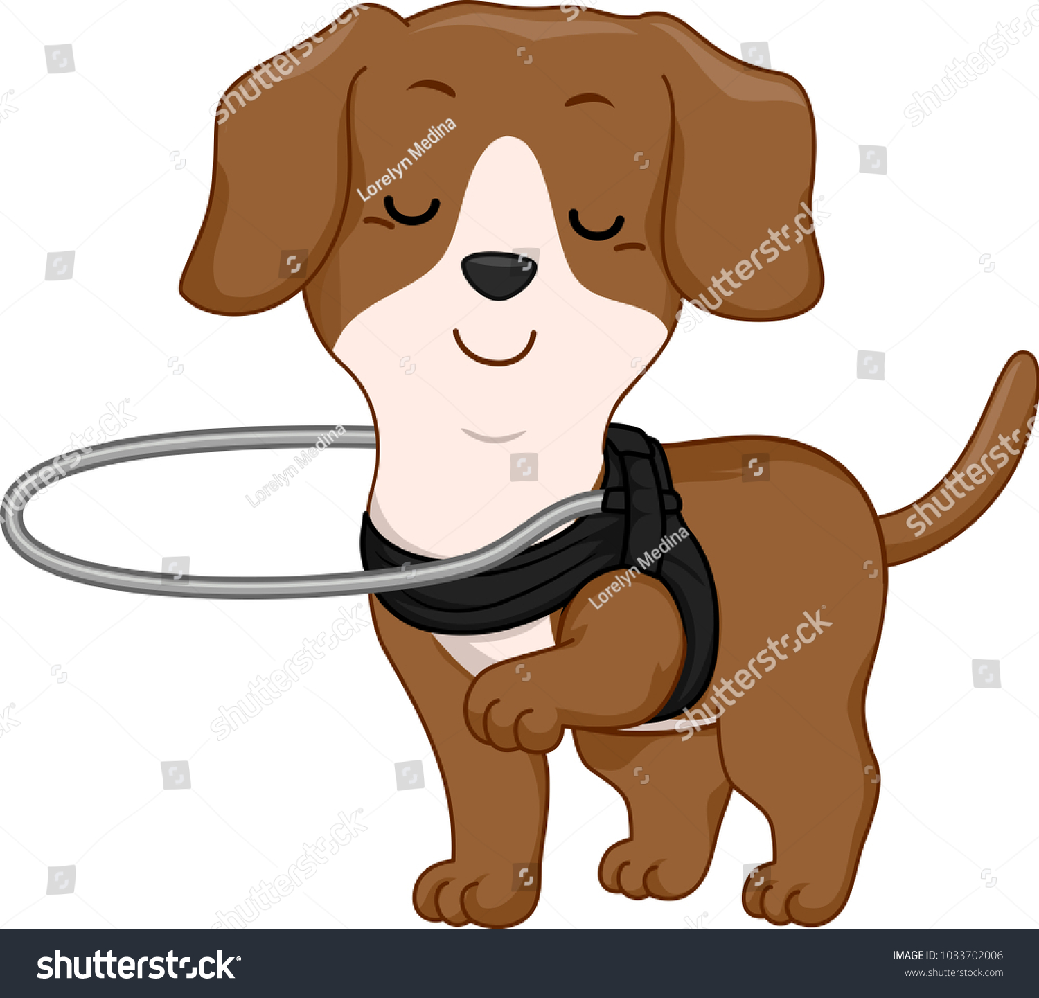 blind dog hoop harness