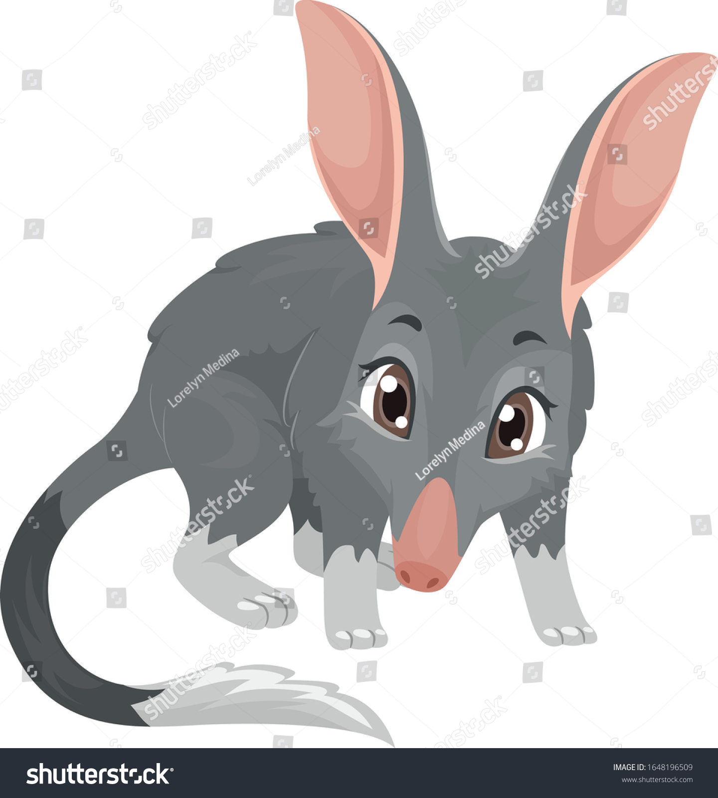 Illustration Cute Bilby Long Muzzle Big Stock Vector (Royalty Free ...