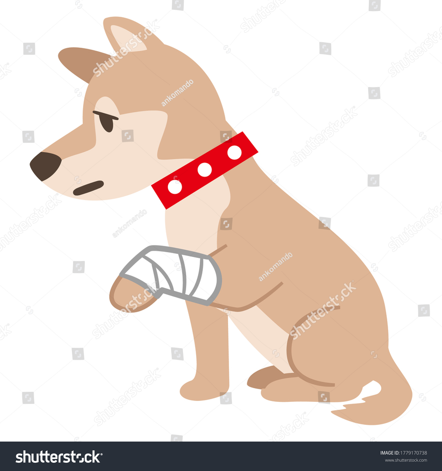 SVG of Illustration of a dog with a bandage on a white background svg