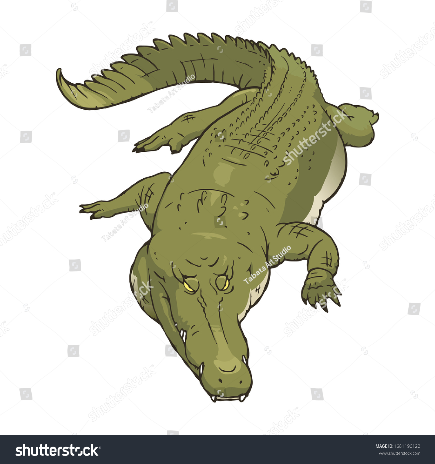 Illustration Ferocious Crocodile Vector Illustration On Stock Vector Royalty Free 1681196122