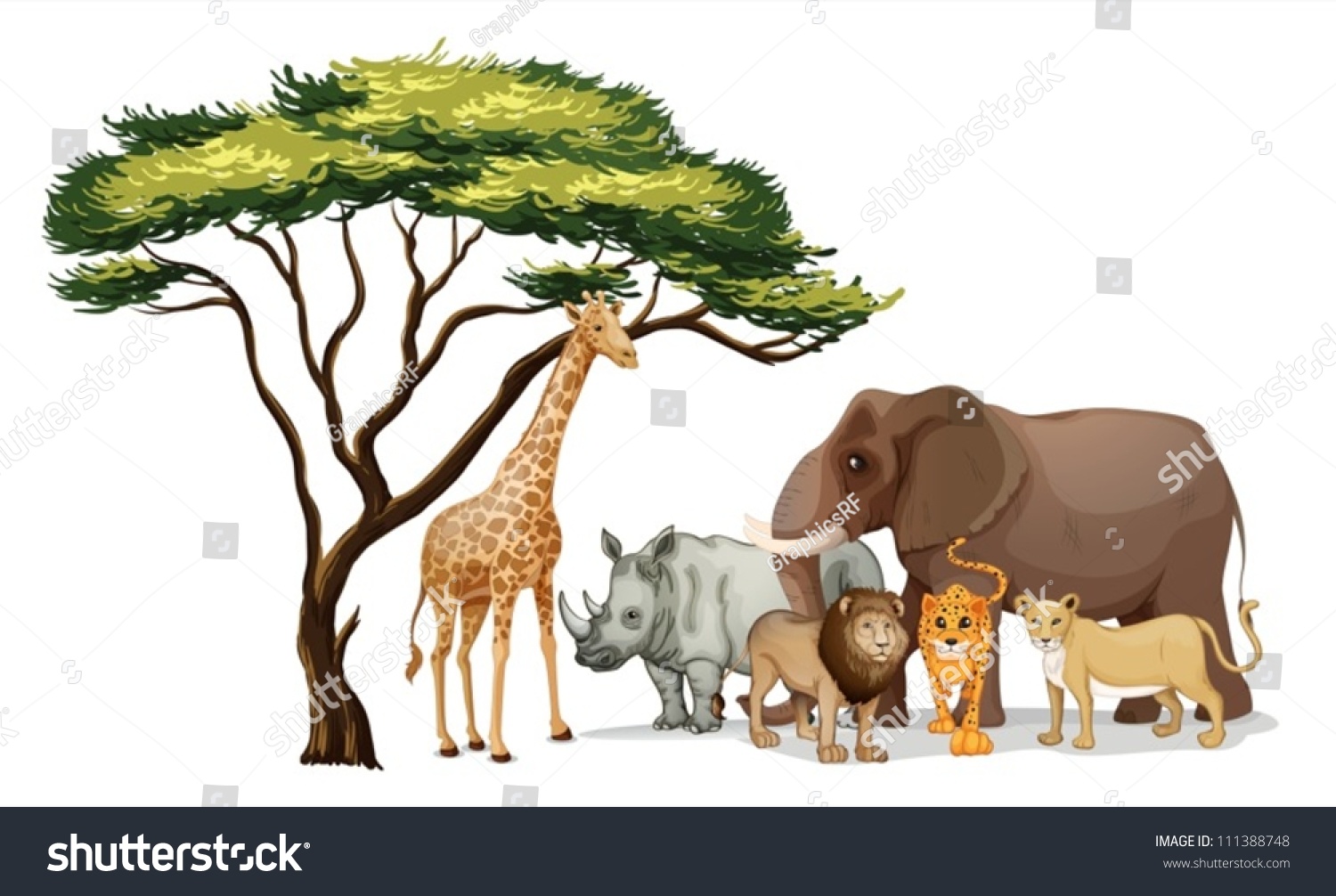 Illustration Of A Group Of African Animals - 111388748 : Shutterstock