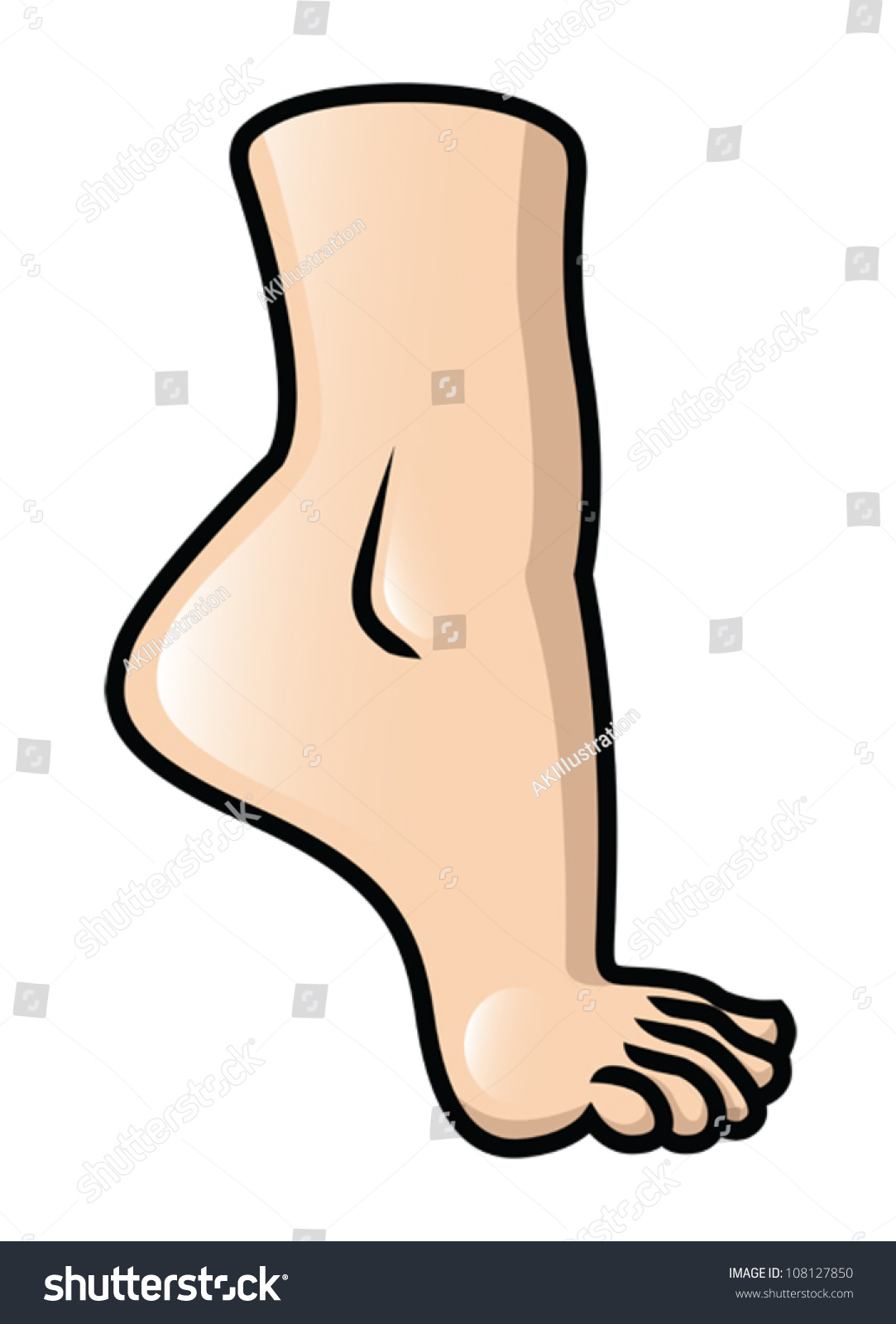 Illustration Raised Cartoon Foot Eps 10 Stock Vector ... anatomical diagram of foot 