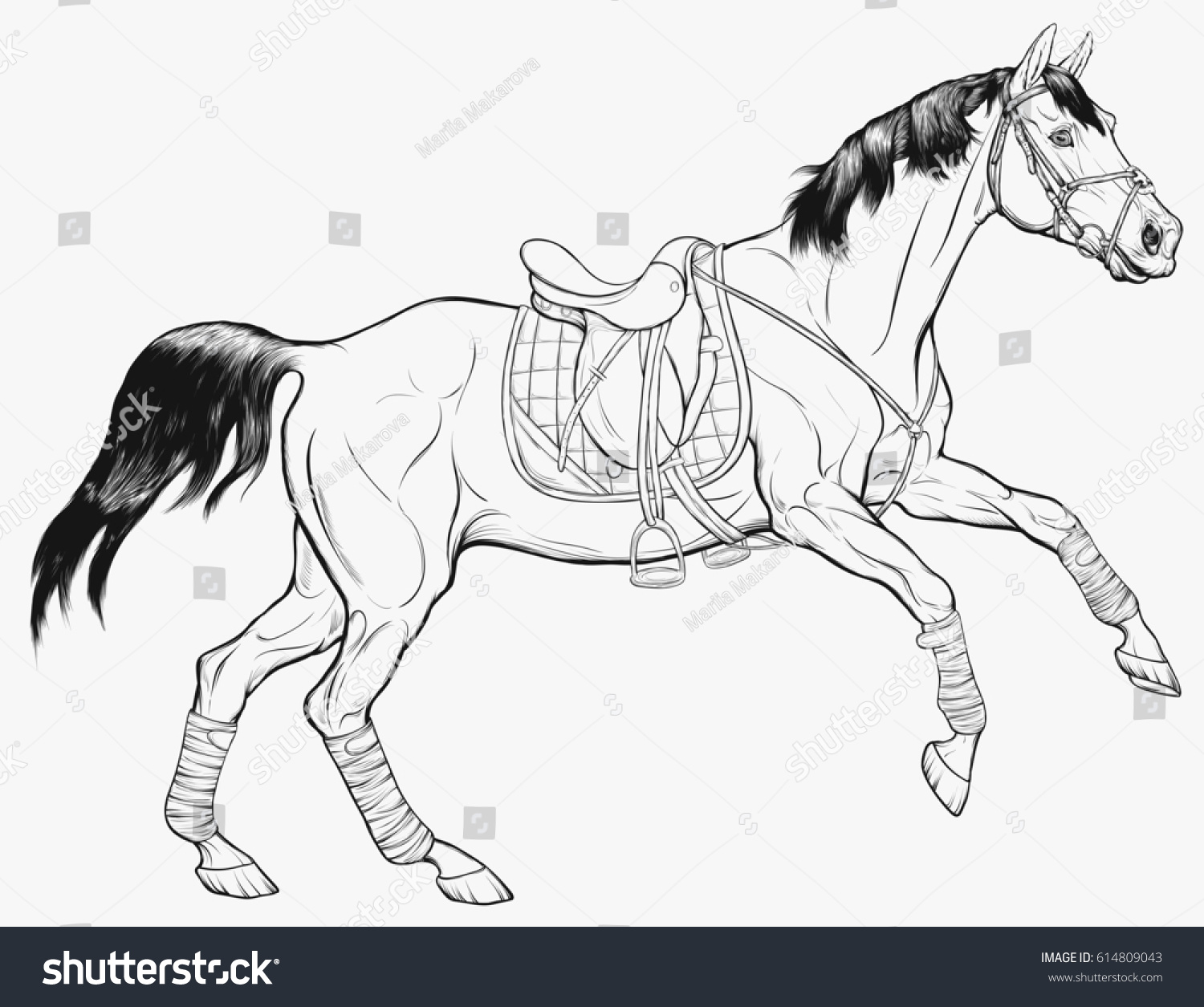 equestrian goods