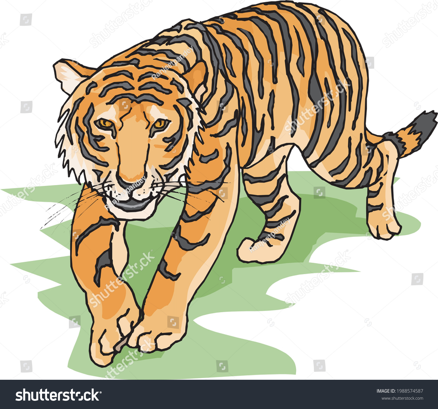 Illustration Walking Tiger White Background Stock Vector (Royalty Free ...