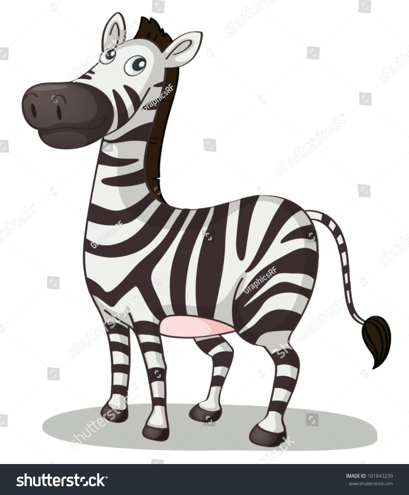 Illustration Zebra On White Stock Photo Photo Vector Illustration