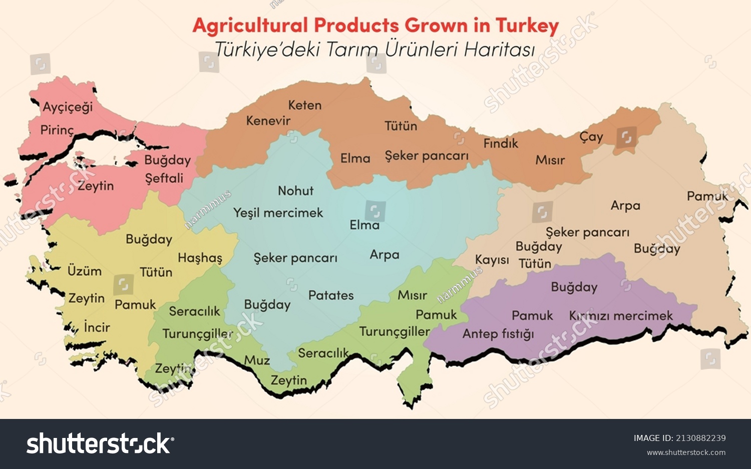 Illustration Agricultural Products Grown Turkey Stock Vector (Royalty ...