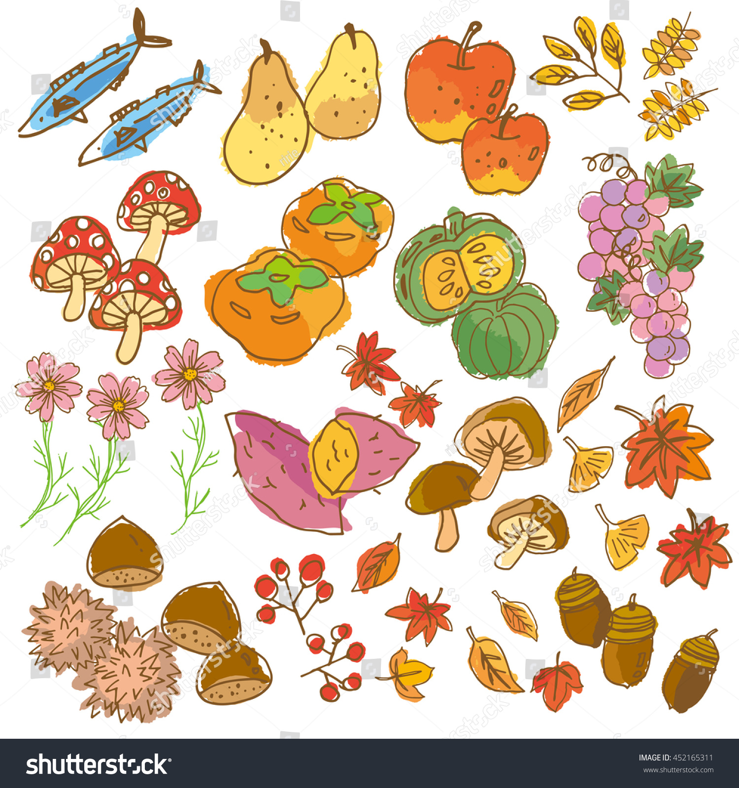 Illustration Of Autumn Fruits - 452165311 : Shutterstock