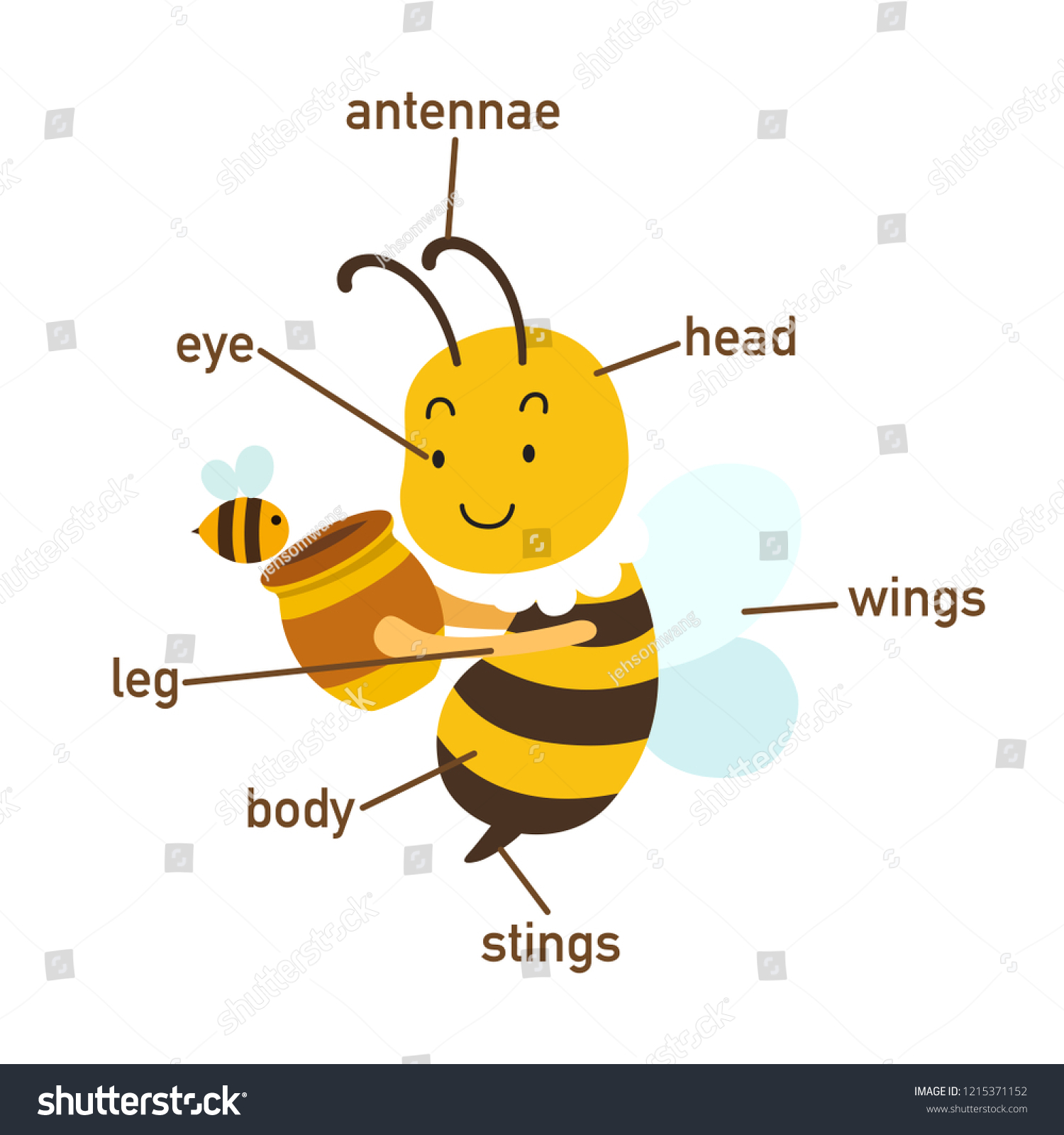 Illustration Bee Vocabulary Part Bodyvector Stock Vector Royalty Free 1215371152