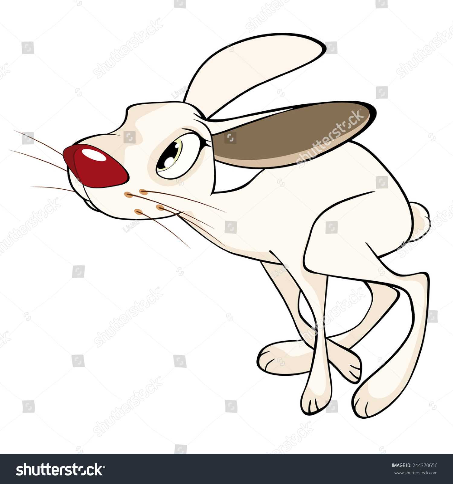 Illustration Cartoon White Rabbit Stock Vector Royalty Free 244370656 Shutterstock 4962