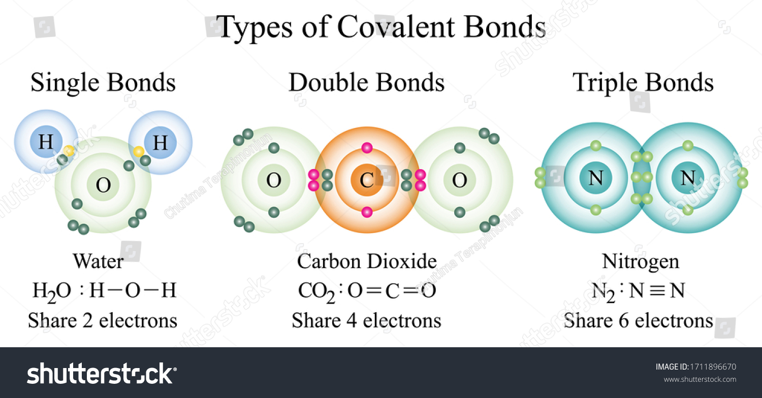 Types Of Covalent Bonds Worksheet