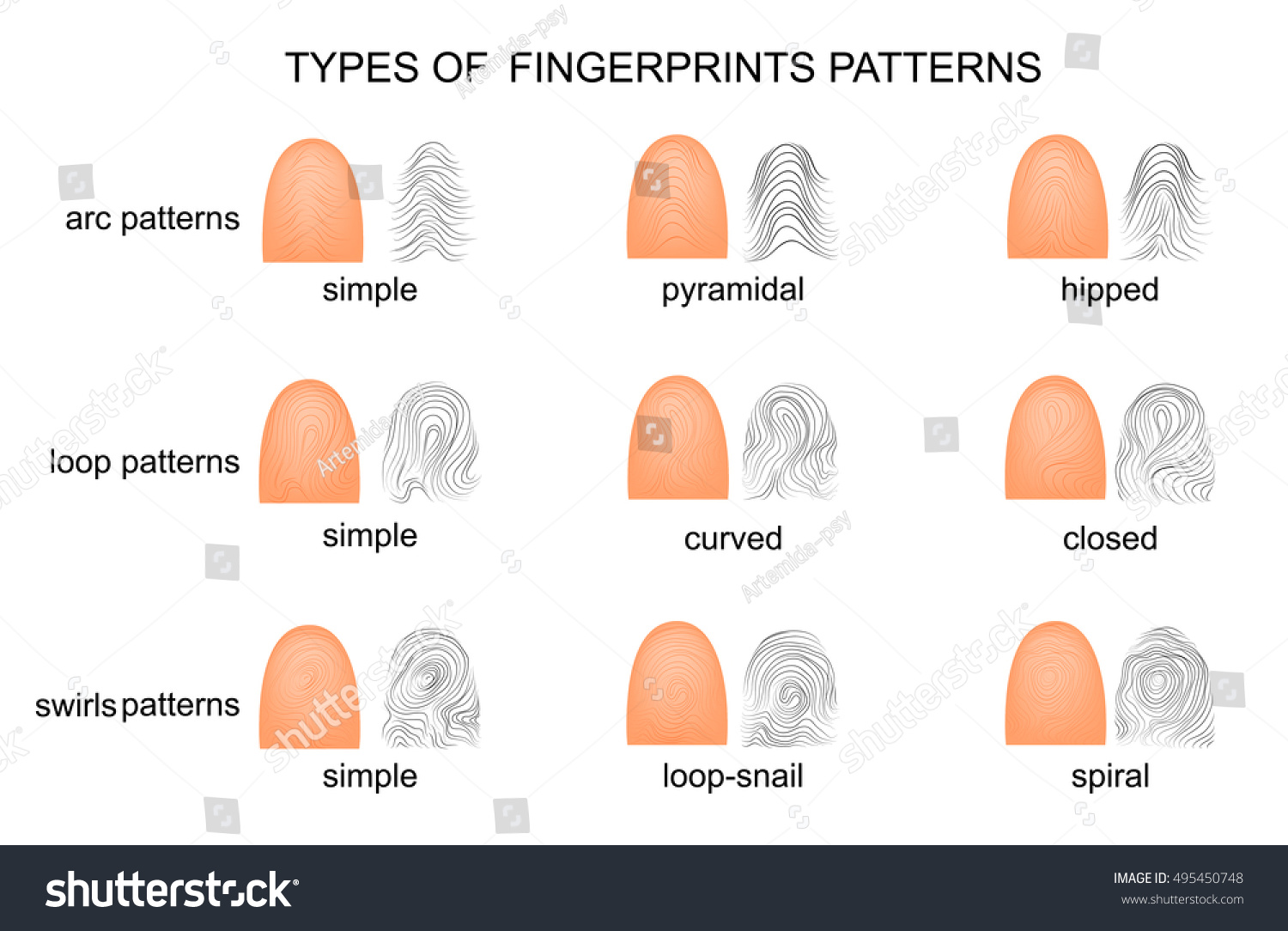 illustration-different-types-fingerprints-stock-vektorgrafik