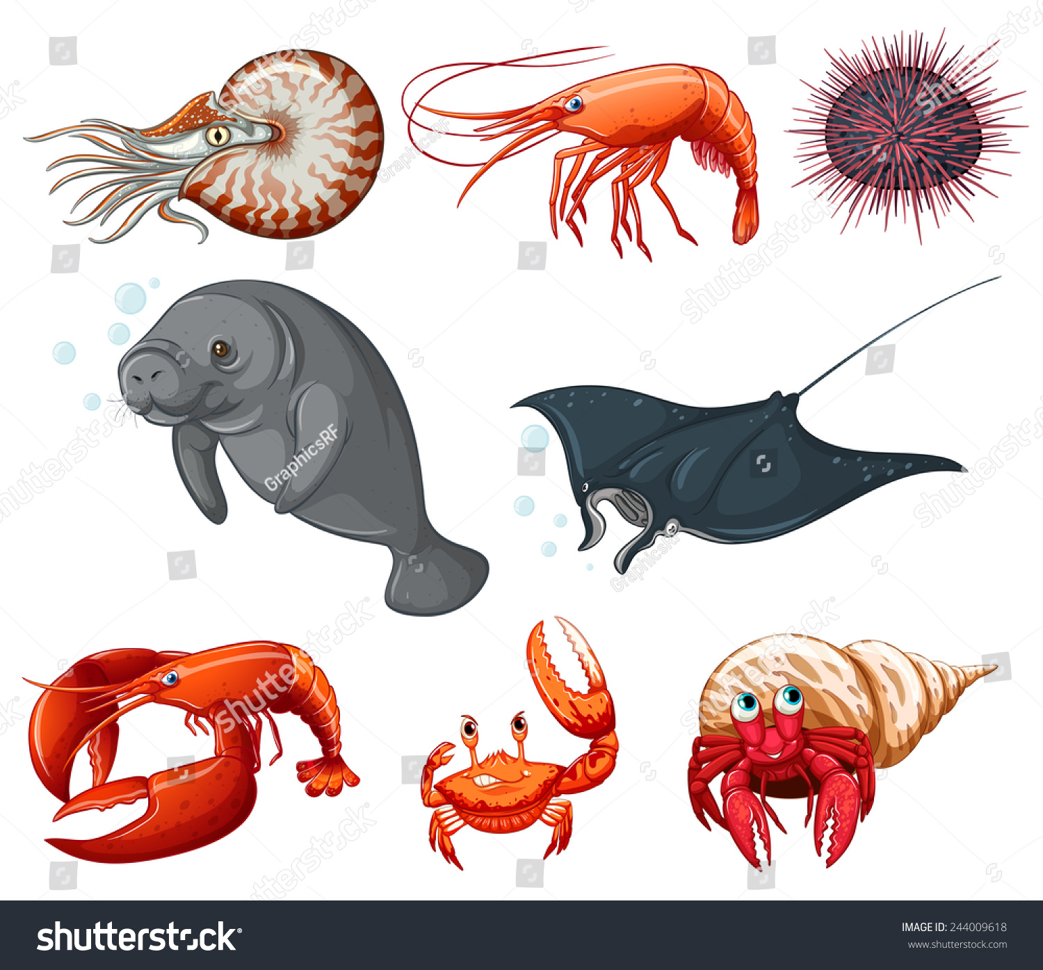 Different Types Of Sea Animals