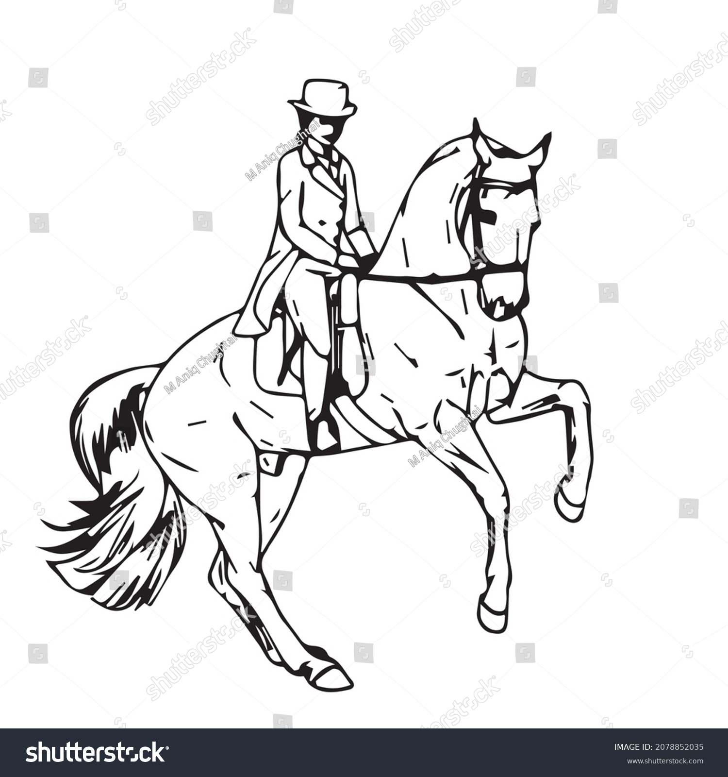 Illustration Equestrian Sport Dressage Canter Half Stock Vector ...