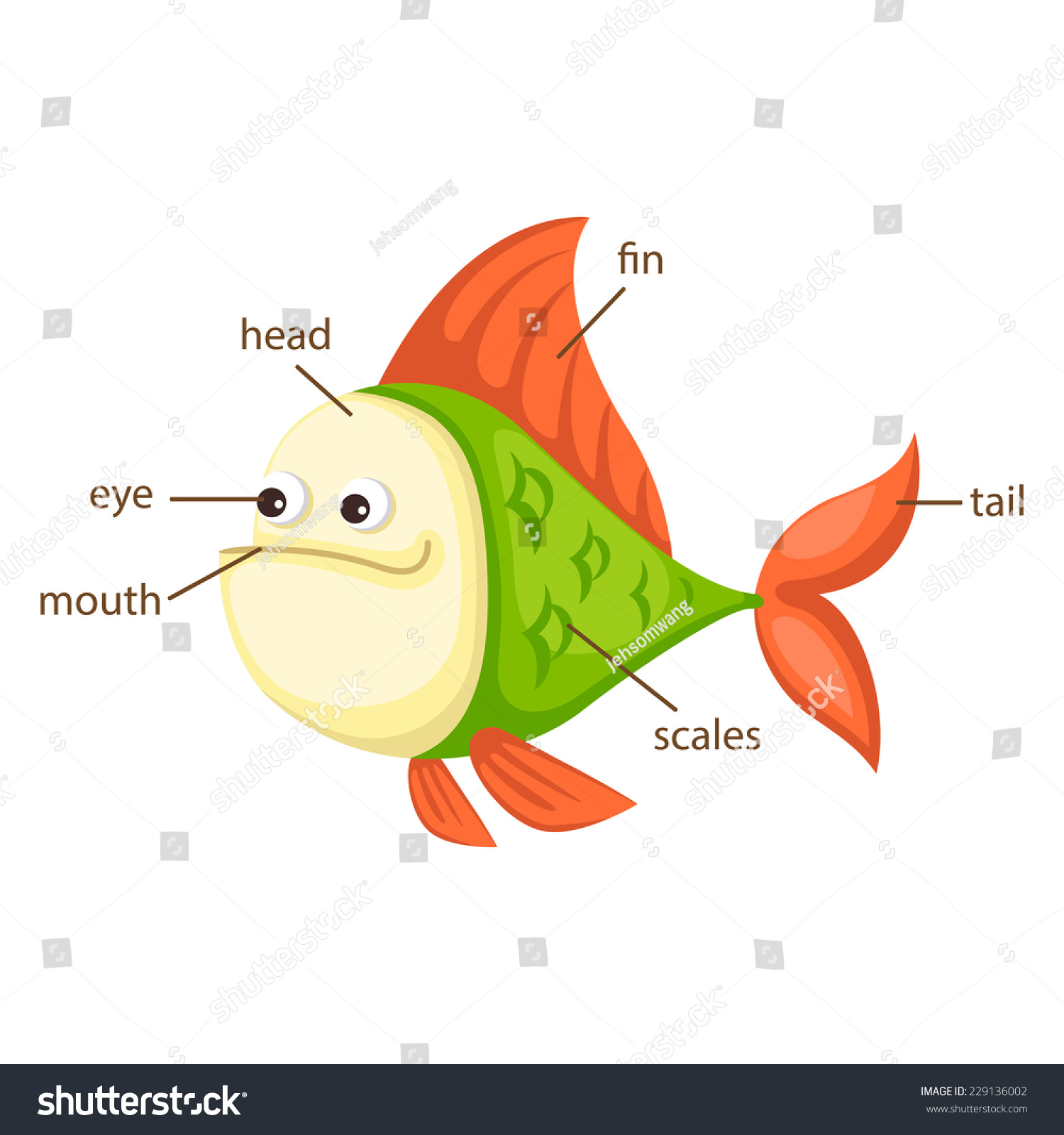 Illustration Of Fish Vocabulary Part Of Body Vector - 229136002 ...