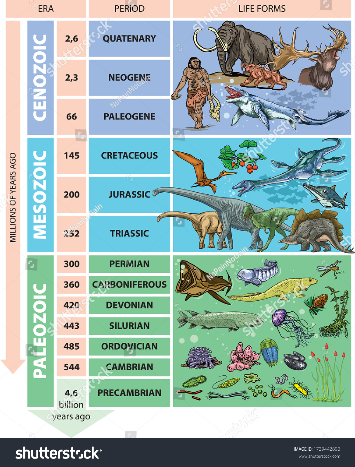 Illustration Geological Time Scale Periods Stock Vector (Royalty Free ...