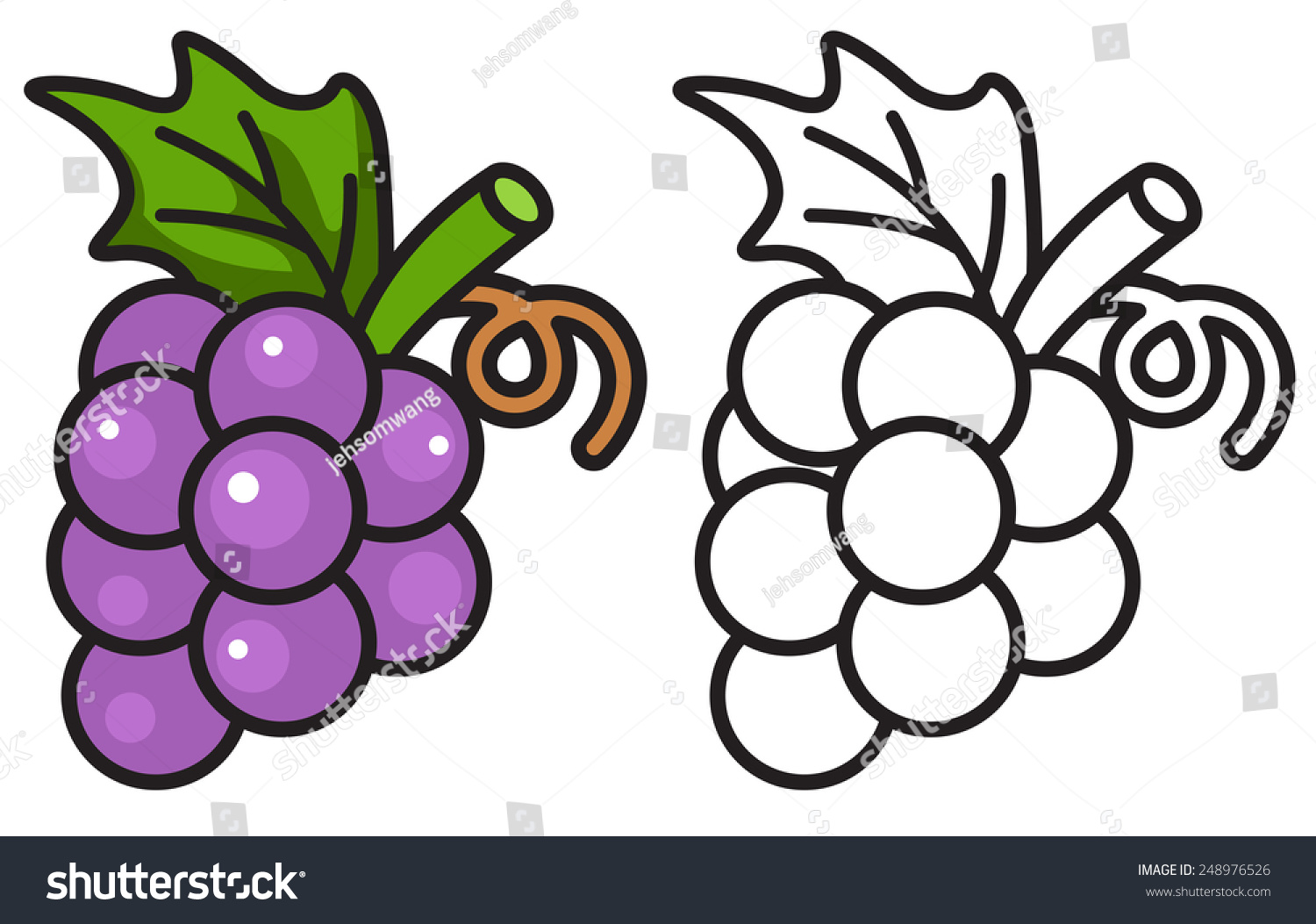 Illustration Isolated Colorful Black White Grapes Stock Vector Royalty Free 248976526