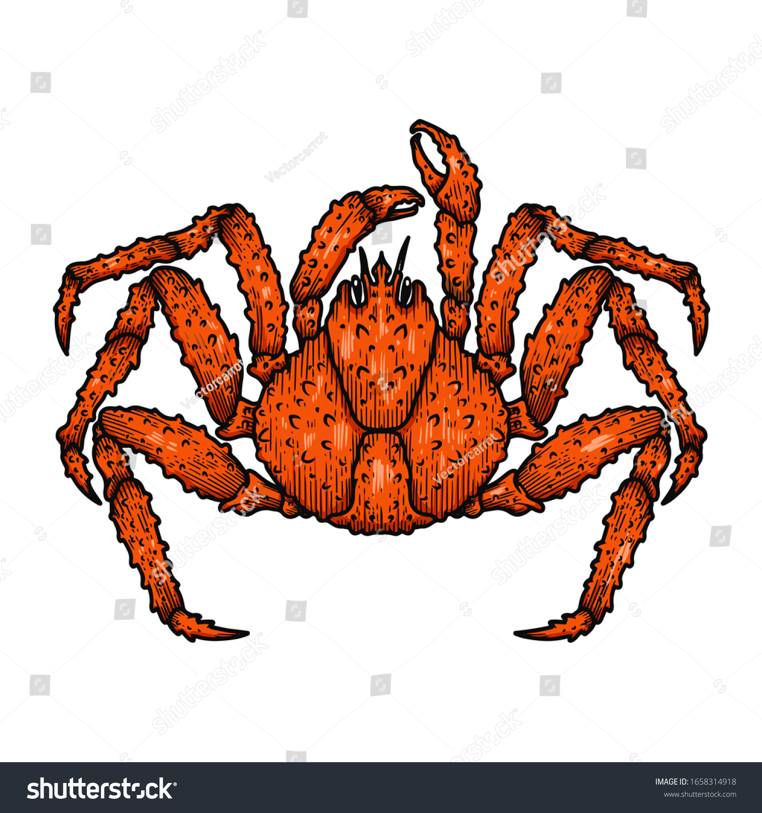 Illustration Japanese Spider Crab Design Element Stock Vector (Royalty